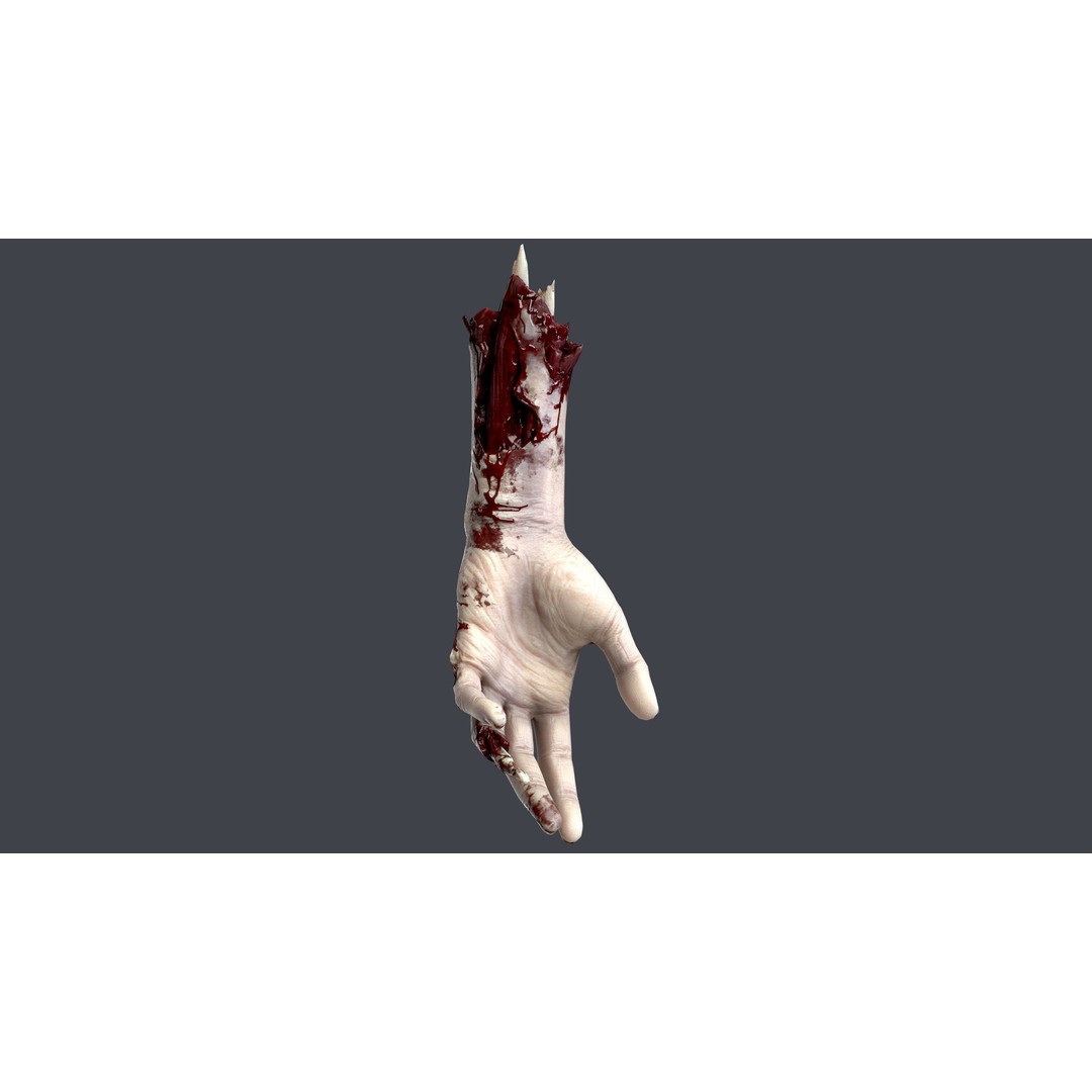 Severed Hand 3D Model – Low Poly Game Asset, PBR Textures, FBX - View 5