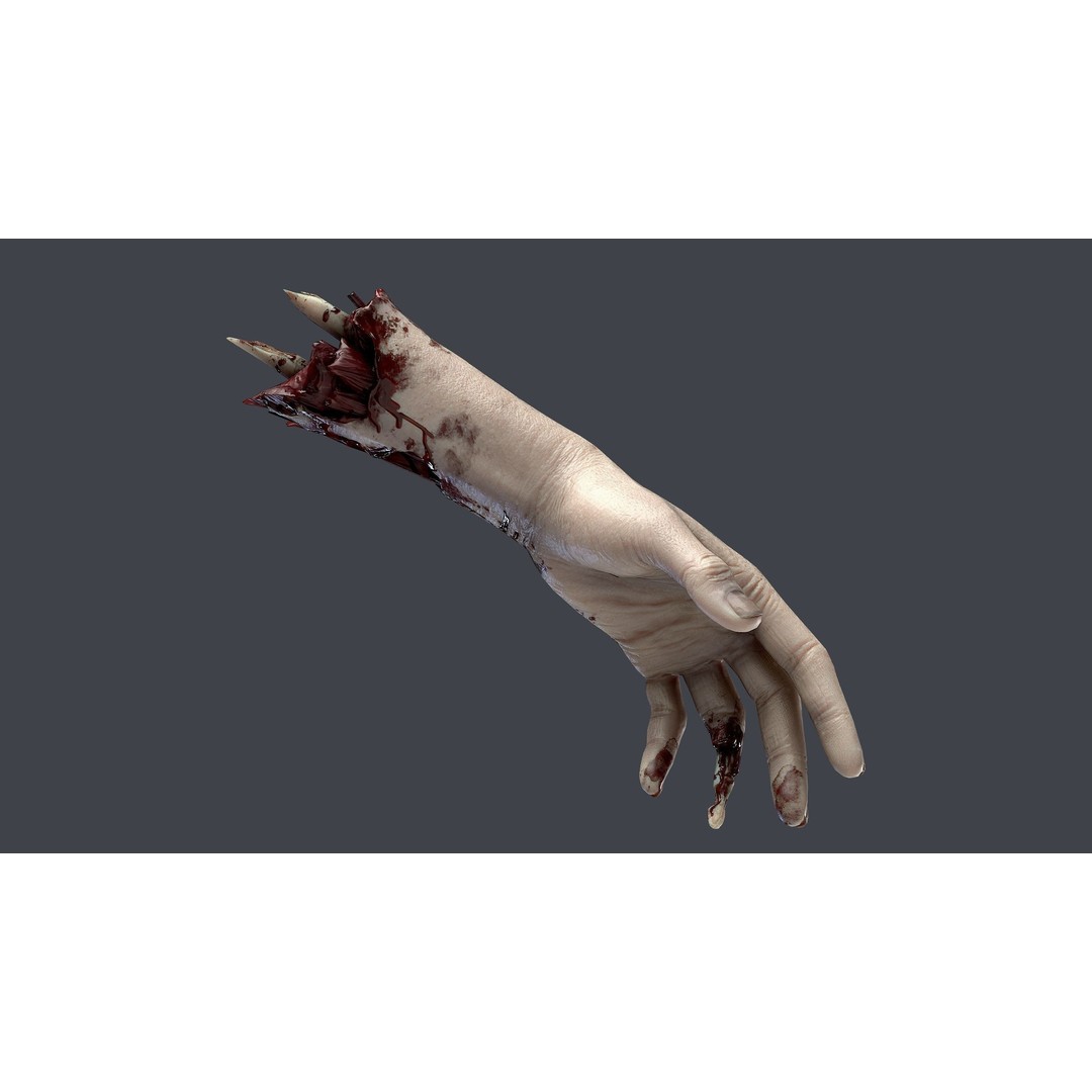 Severed Hand 3D Model – Low Poly Game Asset, PBR Textures, FBX - View 8