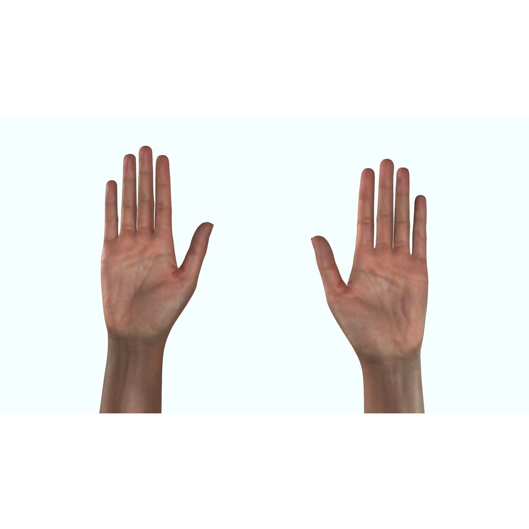 Female Hand 3D Model – Rigged Low Poly Anatomy for Animation - View 10