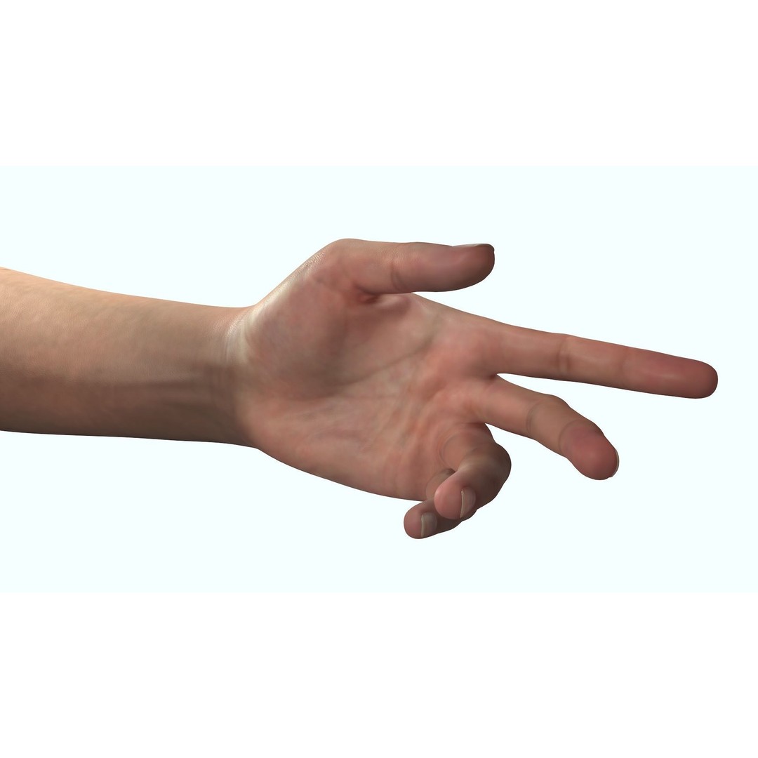 Female Hand 3D Model – Rigged Low Poly Anatomy for Animation - View 11