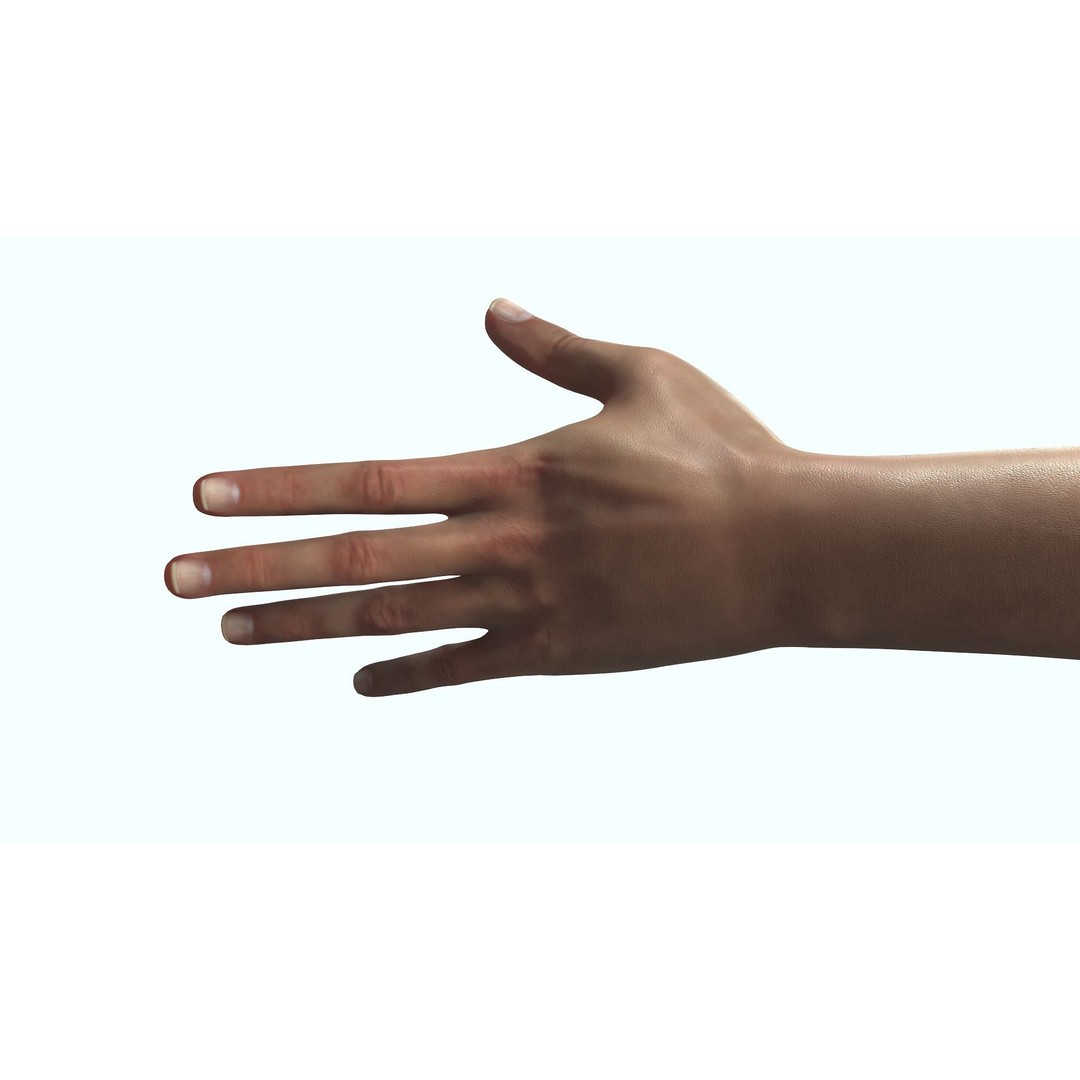 Female Hand 3D Model – Rigged Low Poly Anatomy for Animation - View 12
