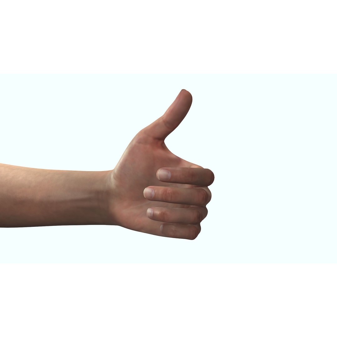 Female Hand 3D Model – Rigged Low Poly Anatomy for Animation - View 14