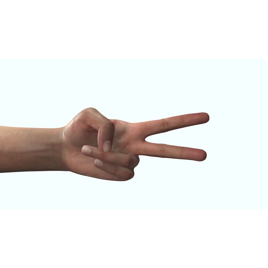 Female Hand 3D Model – Rigged Low Poly Anatomy for Animation - View 15