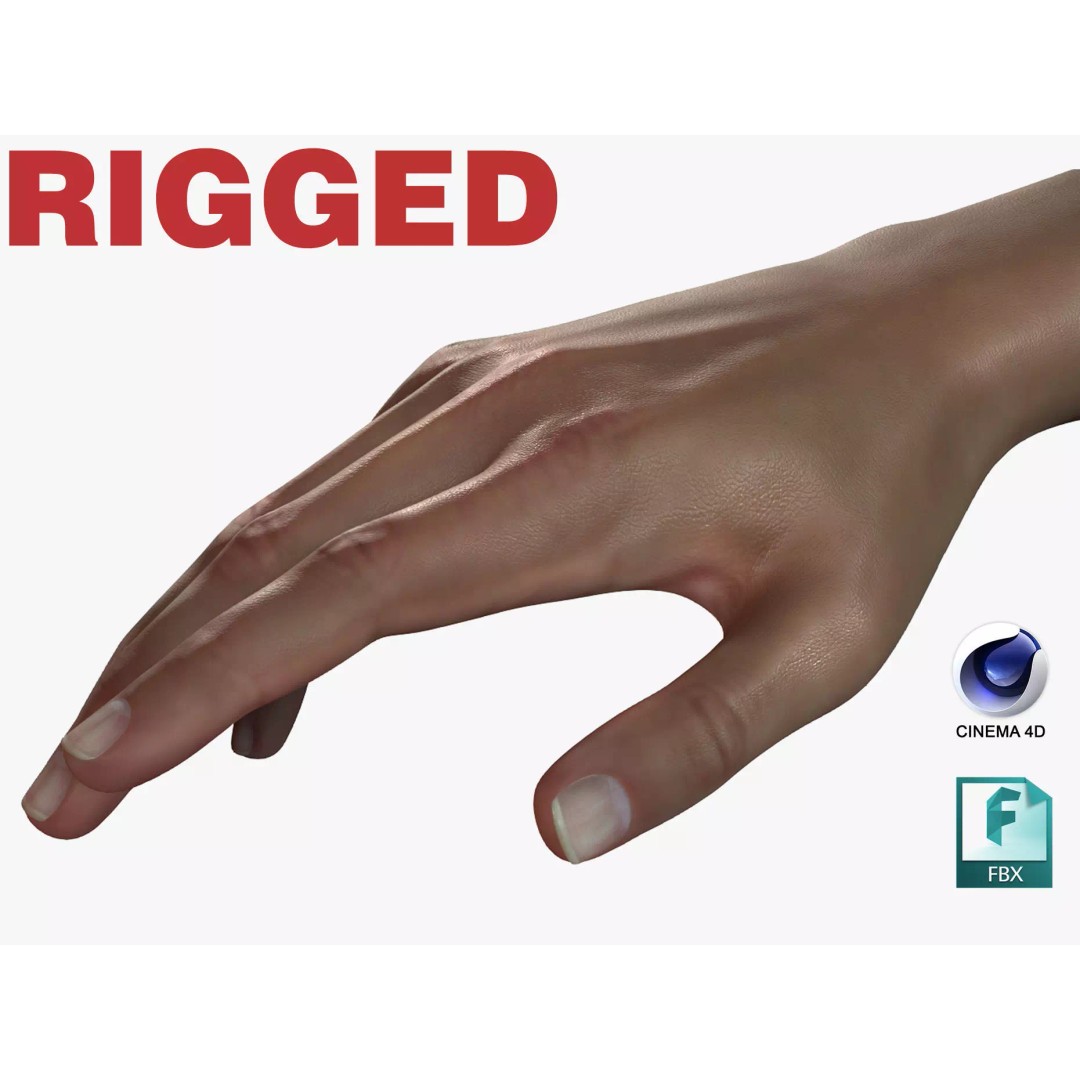 Female Hand 3D Model – Rigged Low Poly Anatomy for Animation - View 2