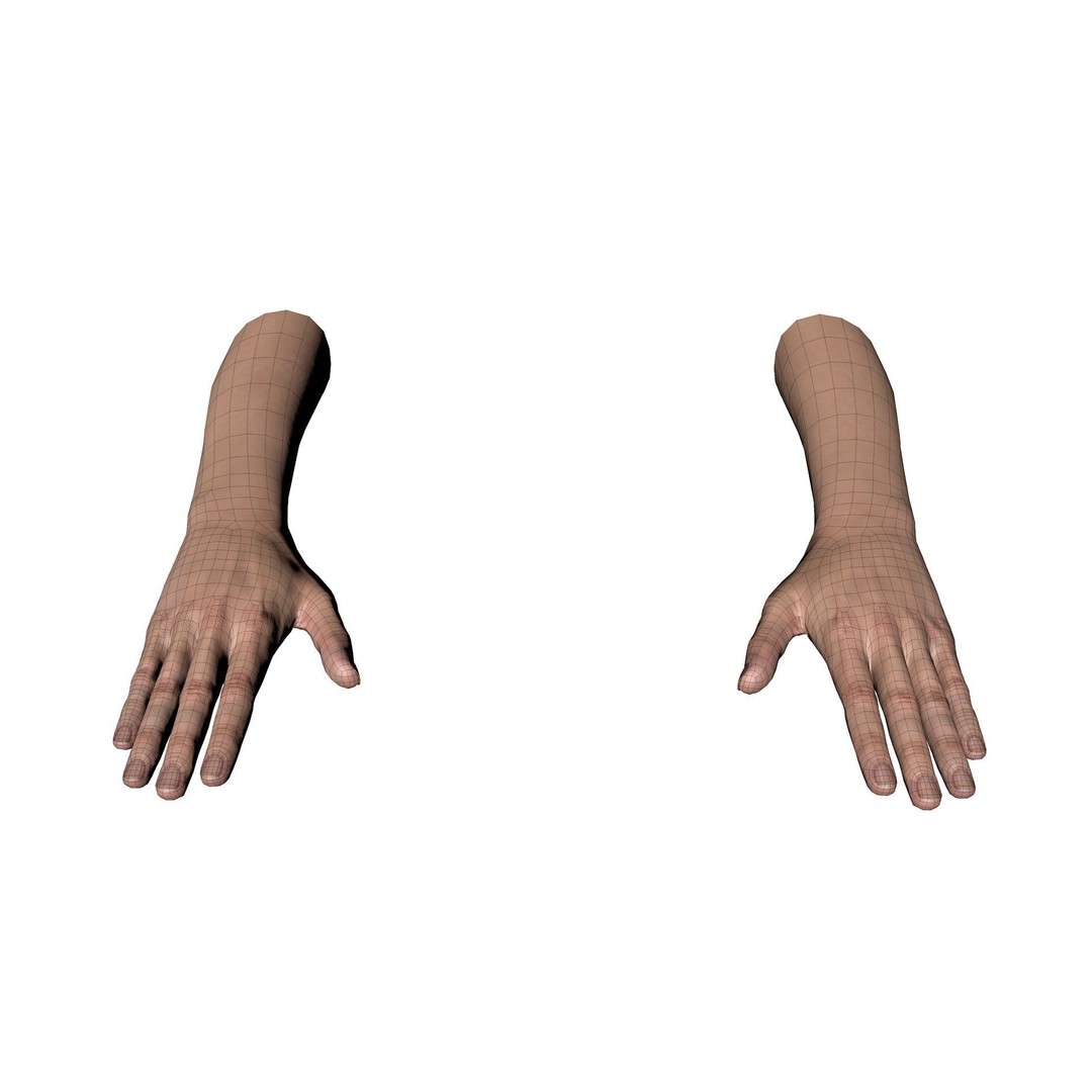 Female Hand 3D Model – Rigged Low Poly Anatomy for Animation - View 20