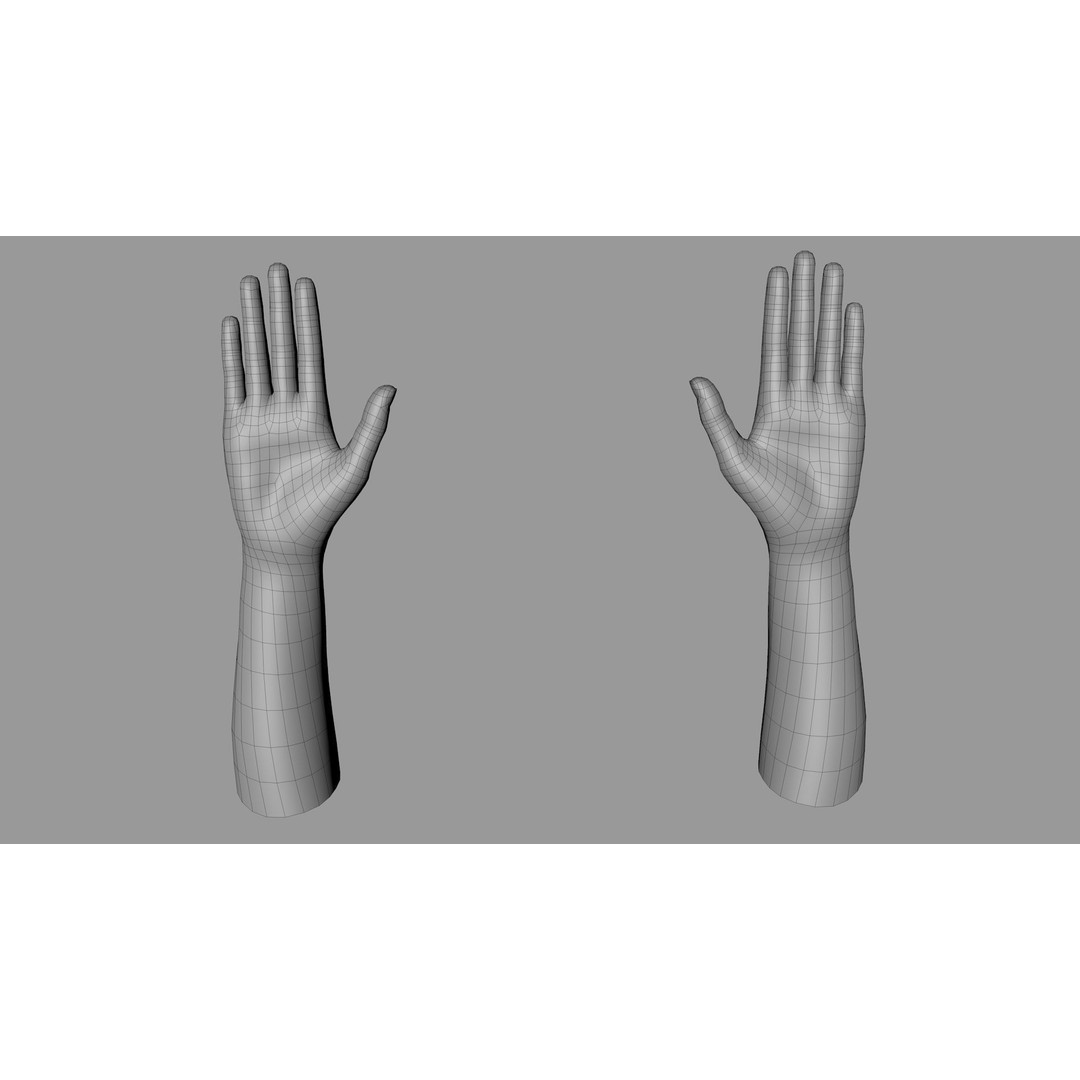 Female Hand 3D Model – Rigged Low Poly Anatomy for Animation - View 22