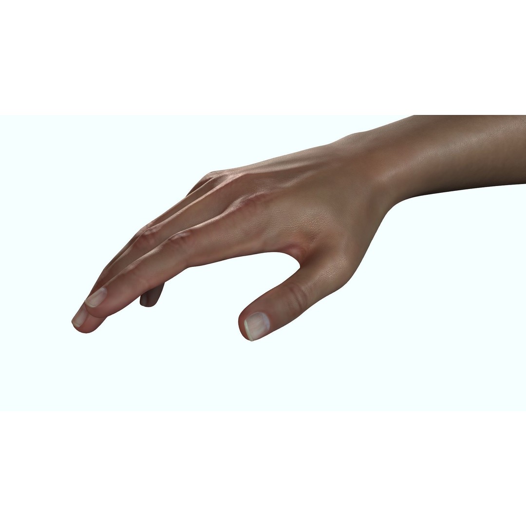 Female Hand 3D Model – Rigged Low Poly Anatomy for Animation - View 3