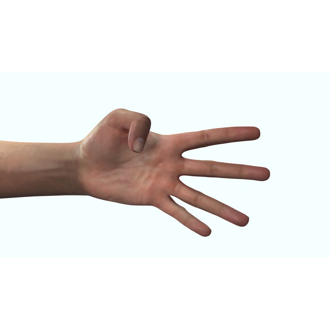 Female Hand 3D Model – Rigged Low Poly Anatomy for Animation - View 4