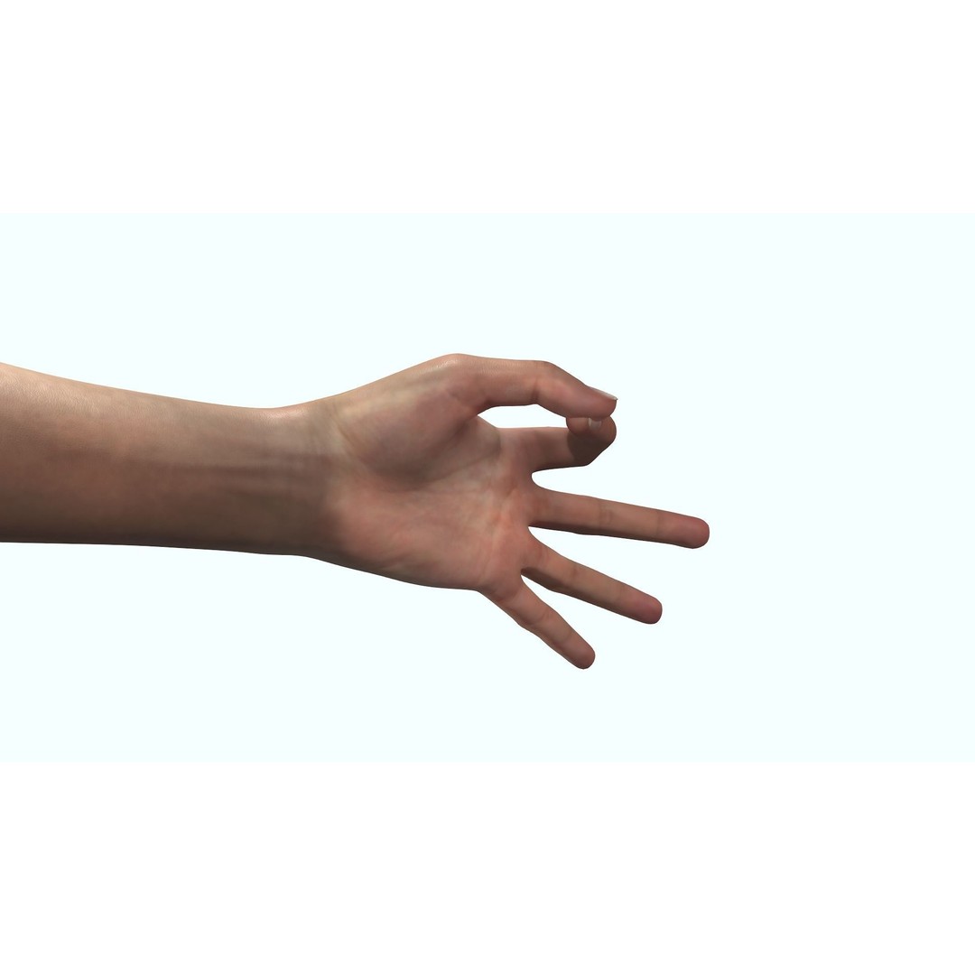 Female Hand 3D Model – Rigged Low Poly Anatomy for Animation - View 7