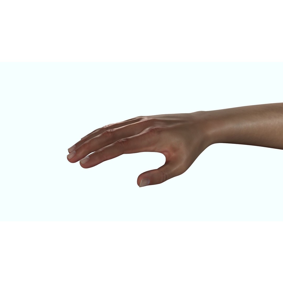 Female Hand 3D Model – Rigged Low Poly Anatomy for Animation - View 8