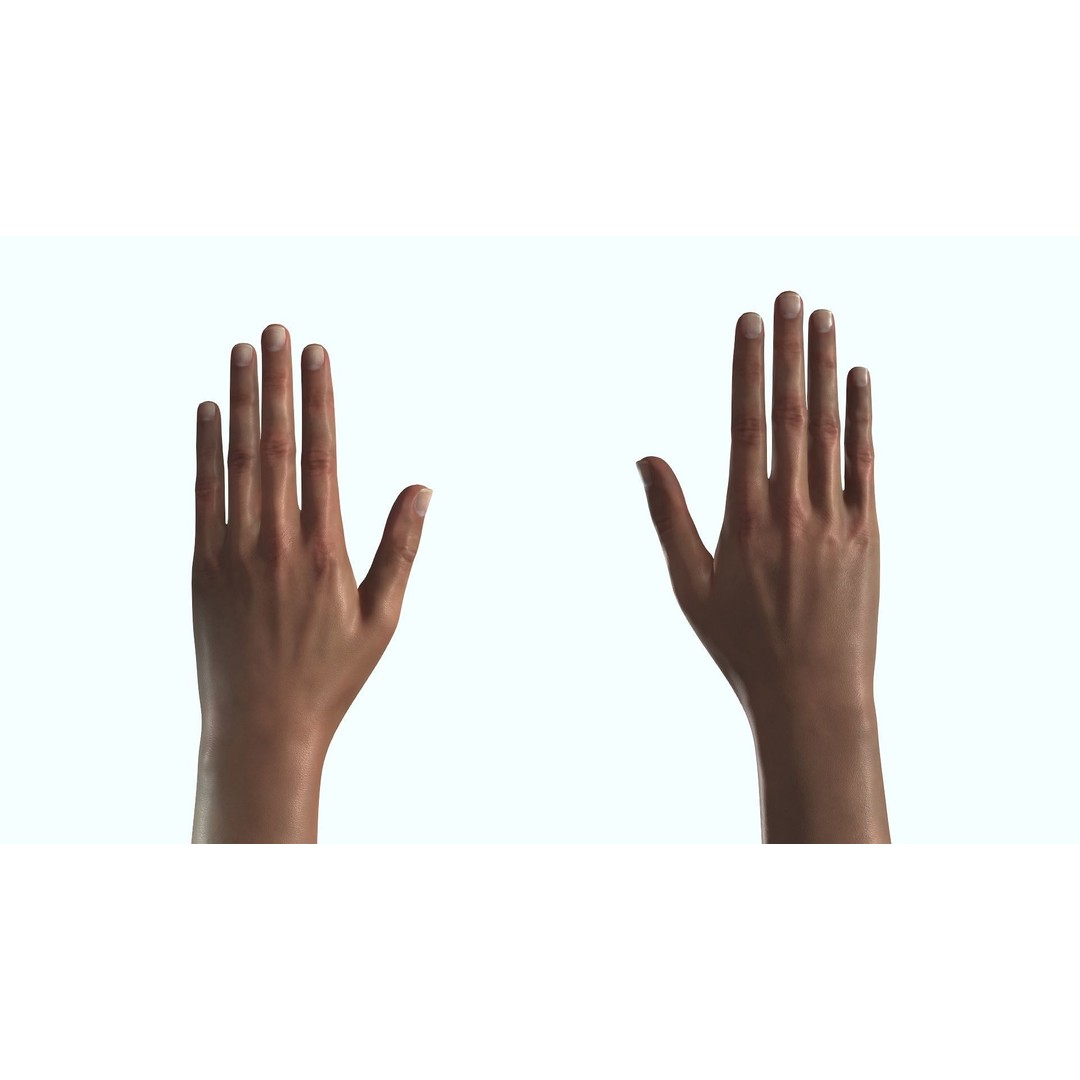 Female Hand 3D Model – Rigged Low Poly Anatomy for Animation - View 9
