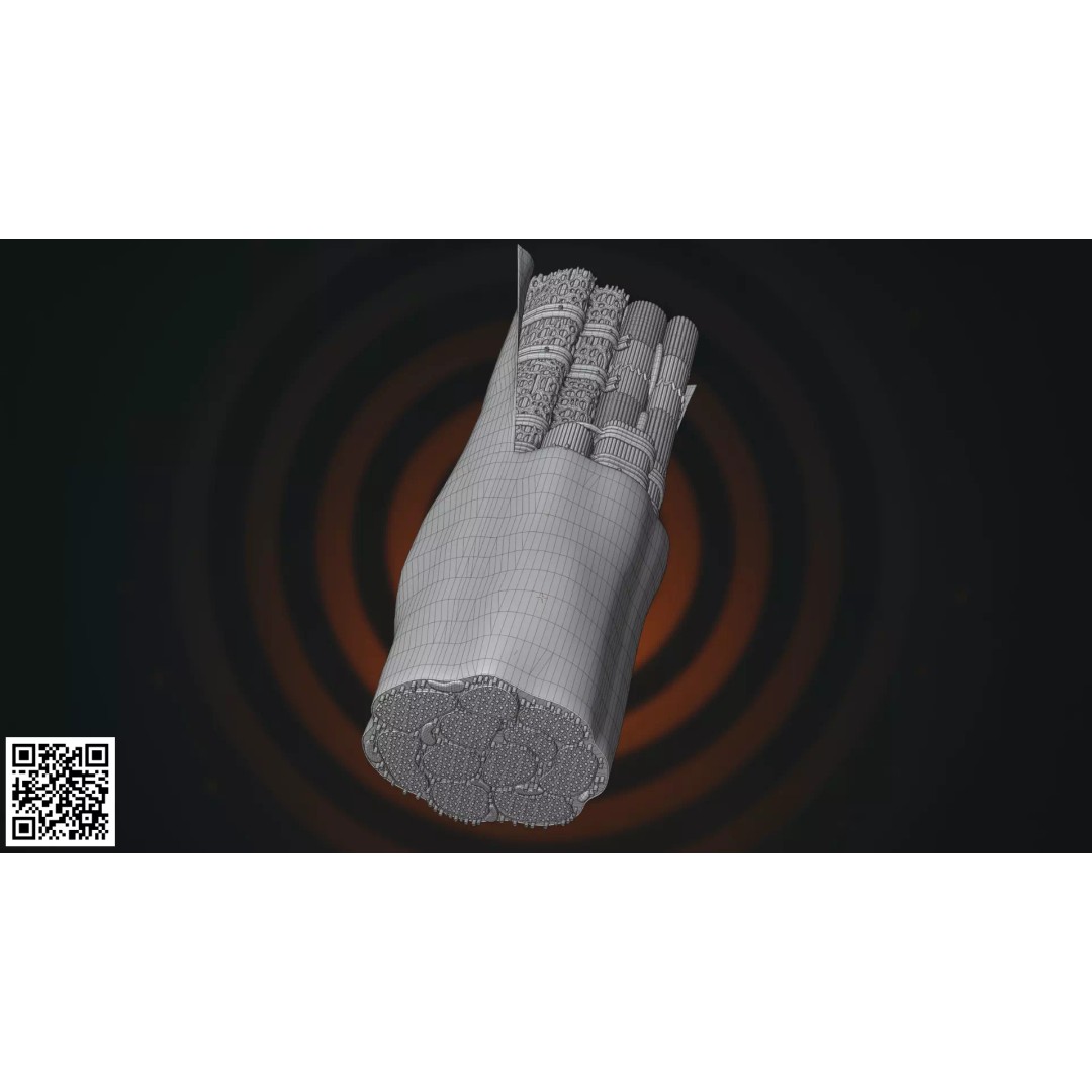 Skeletal Muscle Fiber Anatomy 3D Model – High-Quality Microscopic Asset, PBR - View 7