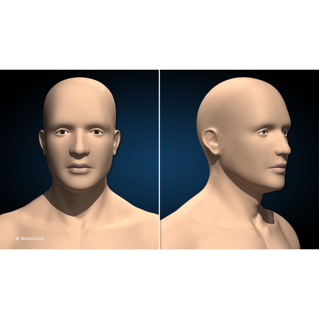Male Muscular Skeletal 3D Model – Advanced Rigged Anatomy Asset, FBX - View 15