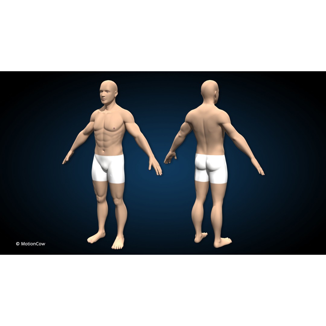 Male Muscular Skeletal 3D Model – Advanced Rigged Anatomy Asset, FBX - View 26