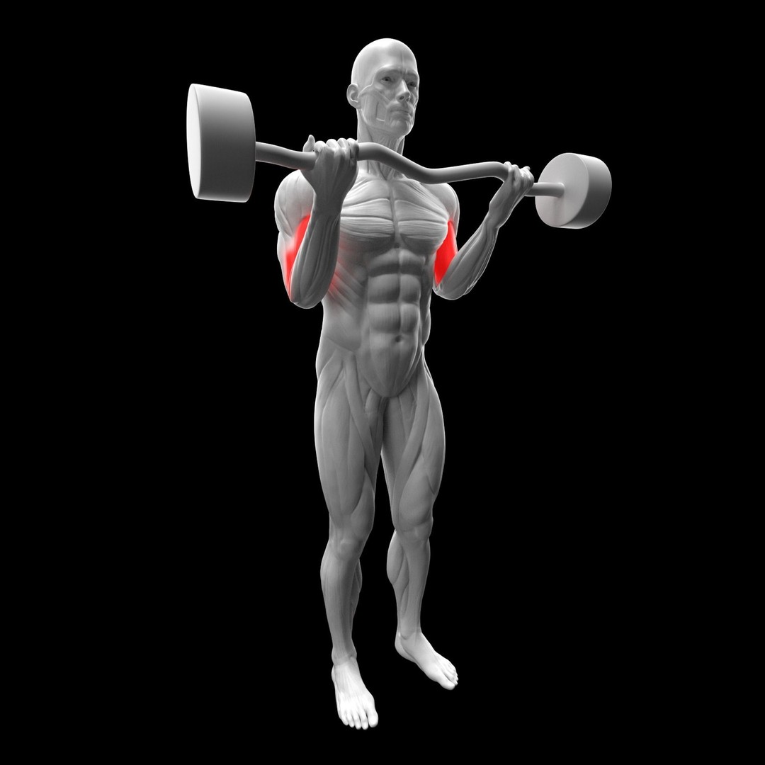 Gym Exercise Animations 3D Model – Rigged Character with PBR Textures, FBX - View 10