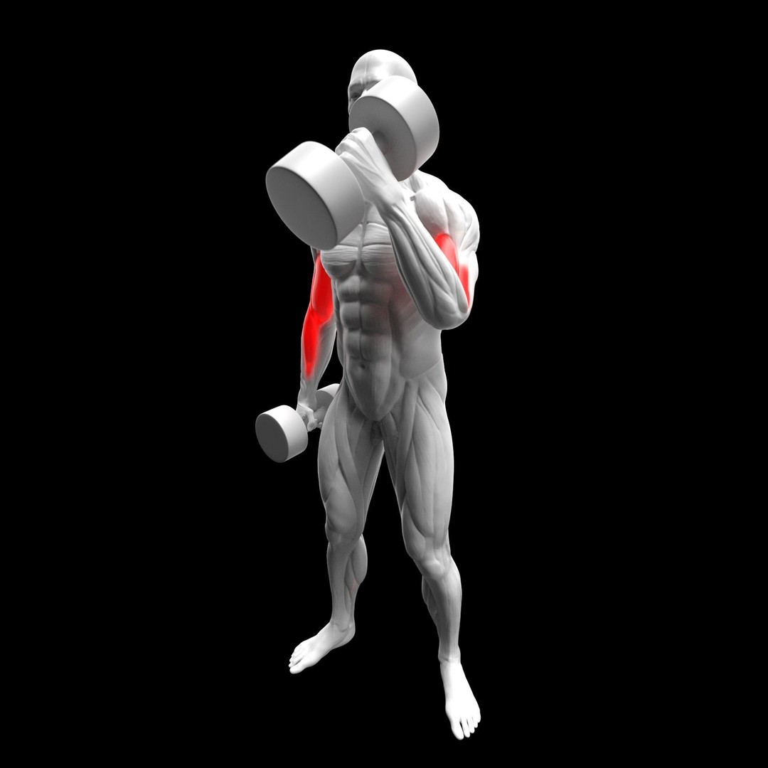 Gym Exercise Animations 3D Model – Rigged Character with PBR Textures, FBX - View 13