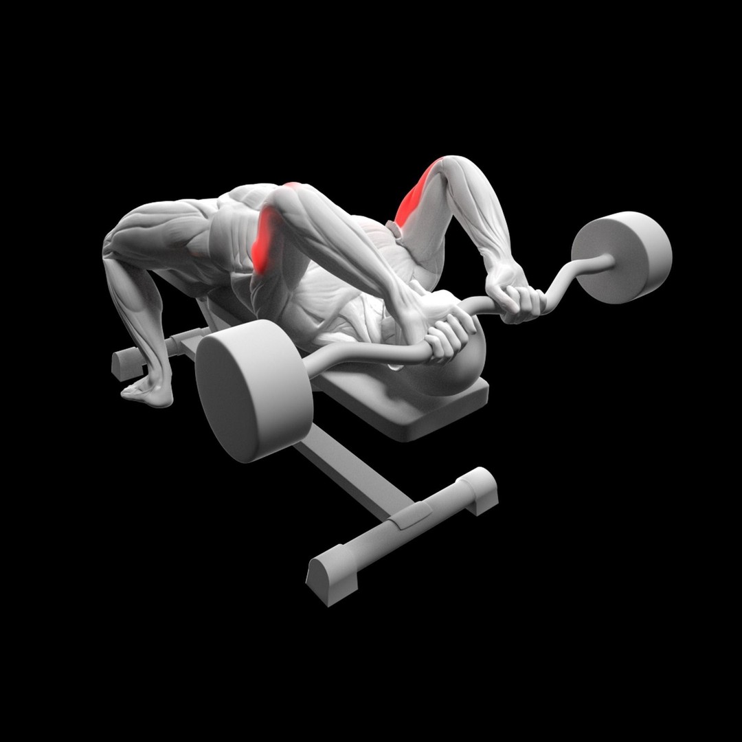 Gym Exercise Animations 3D Model – Rigged Character with PBR Textures, FBX - View 16
