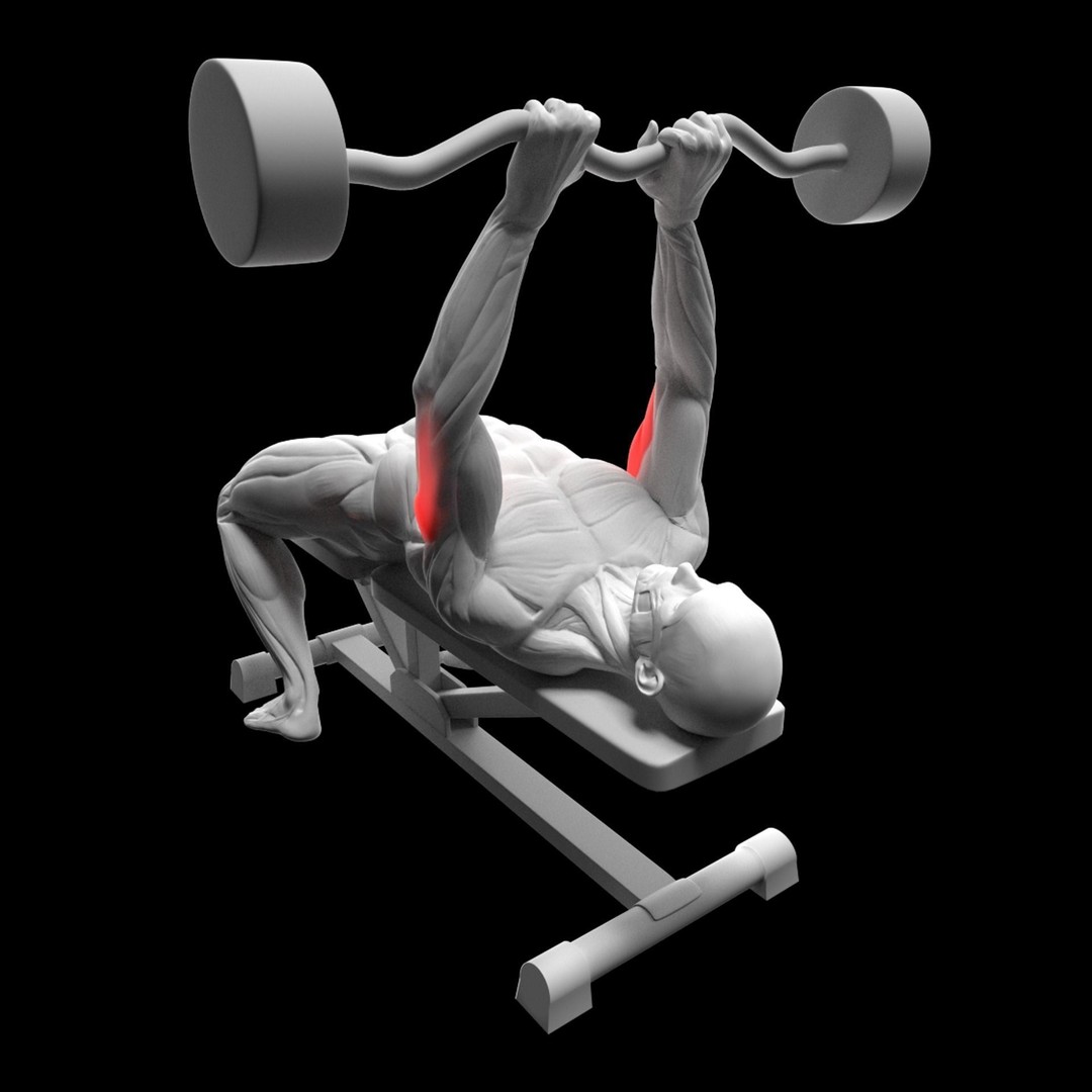 Gym Exercise Animations 3D Model – Rigged Character with PBR Textures, FBX - View 17