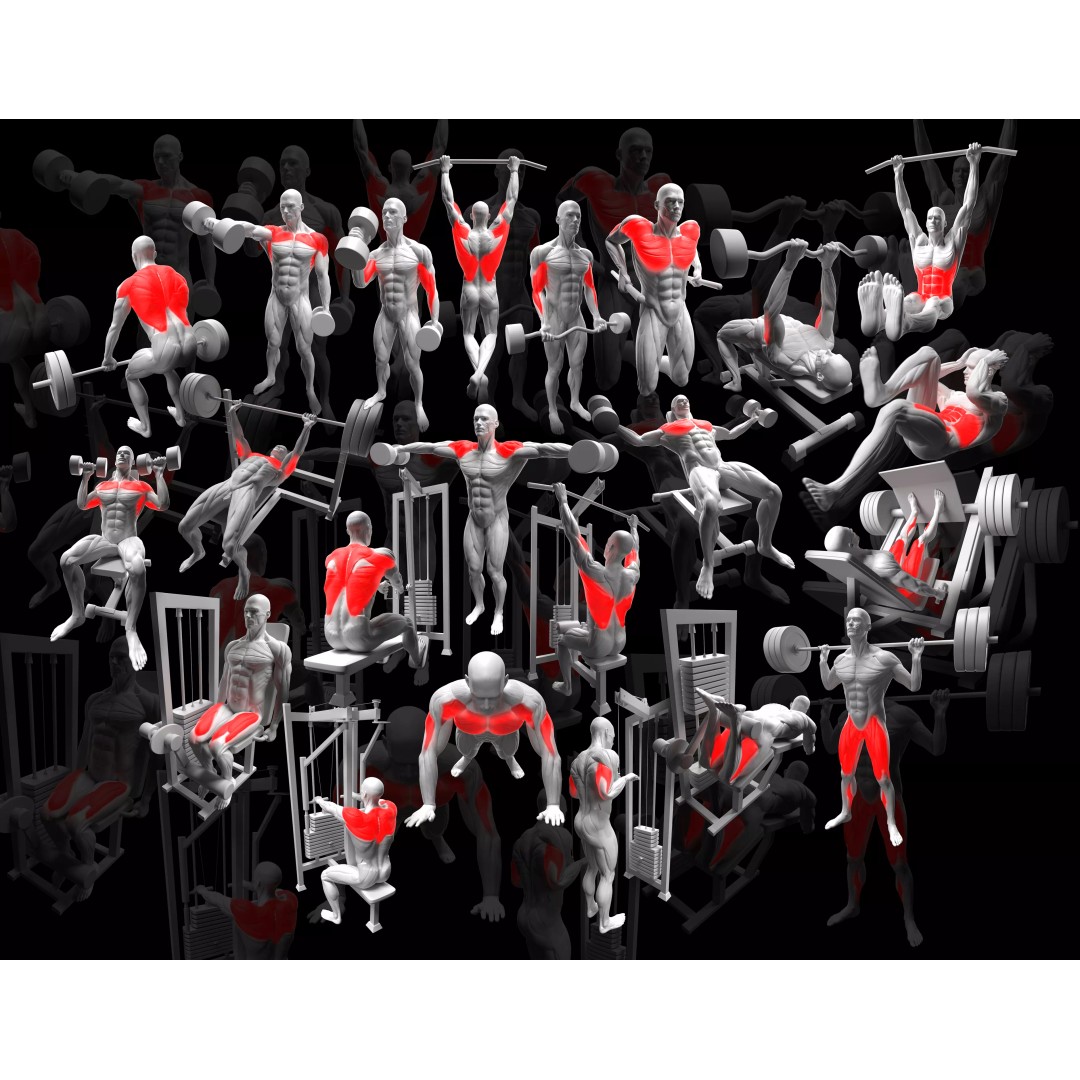 Gym Exercise Animations 3D Model – Rigged Character with PBR Textures, FBX - View 2