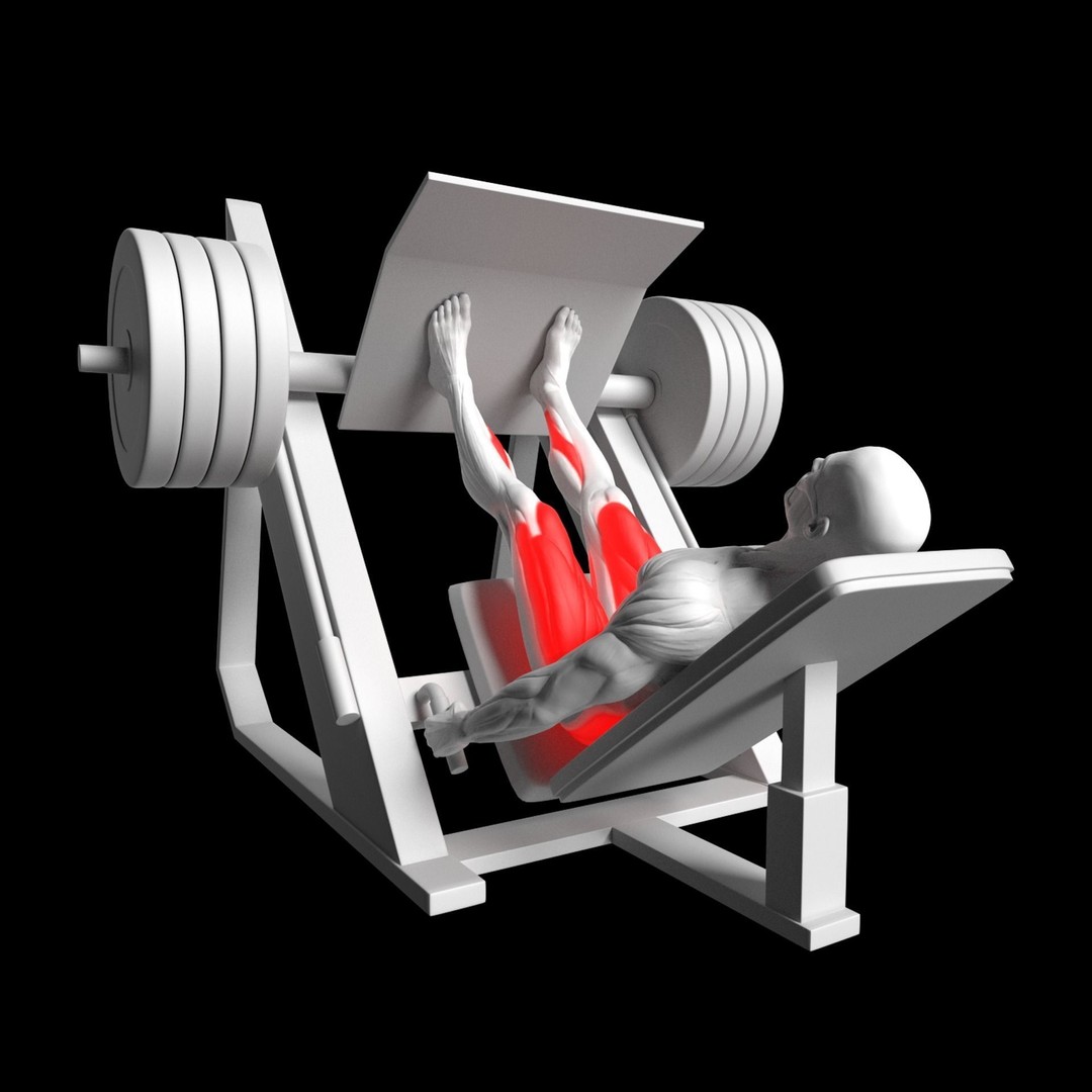 Gym Exercise Animations 3D Model – Rigged Character with PBR Textures, FBX - View 23