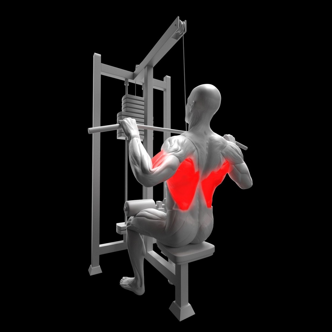 Gym Exercise Animations 3D Model – Rigged Character with PBR Textures, FBX - View 29