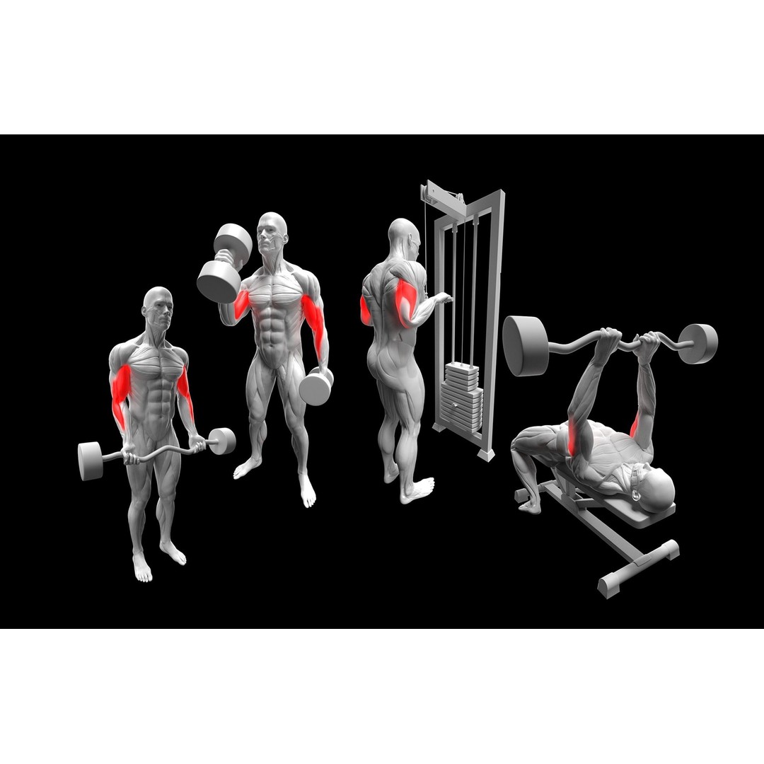Gym Exercise Animations 3D Model – Rigged Character with PBR Textures, FBX - View 3