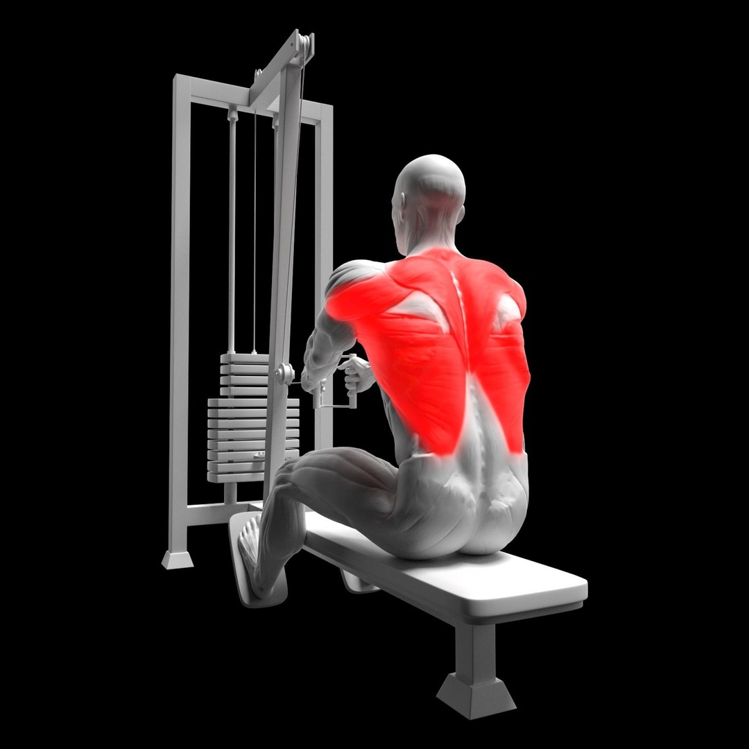 Gym Exercise Animations 3D Model – Rigged Character with PBR Textures, FBX - View 30