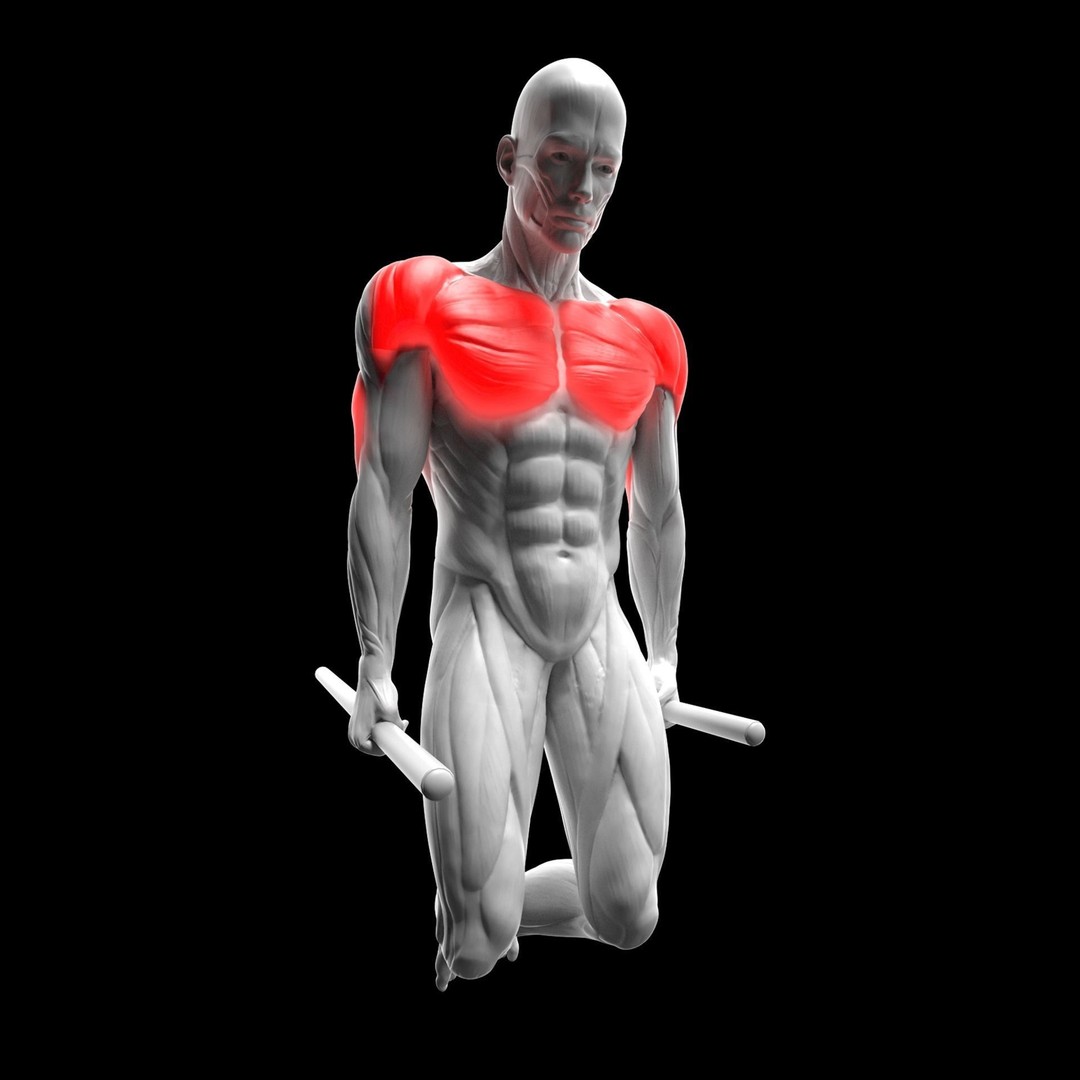 Gym Exercise Animations 3D Model – Rigged Character with PBR Textures, FBX - View 37