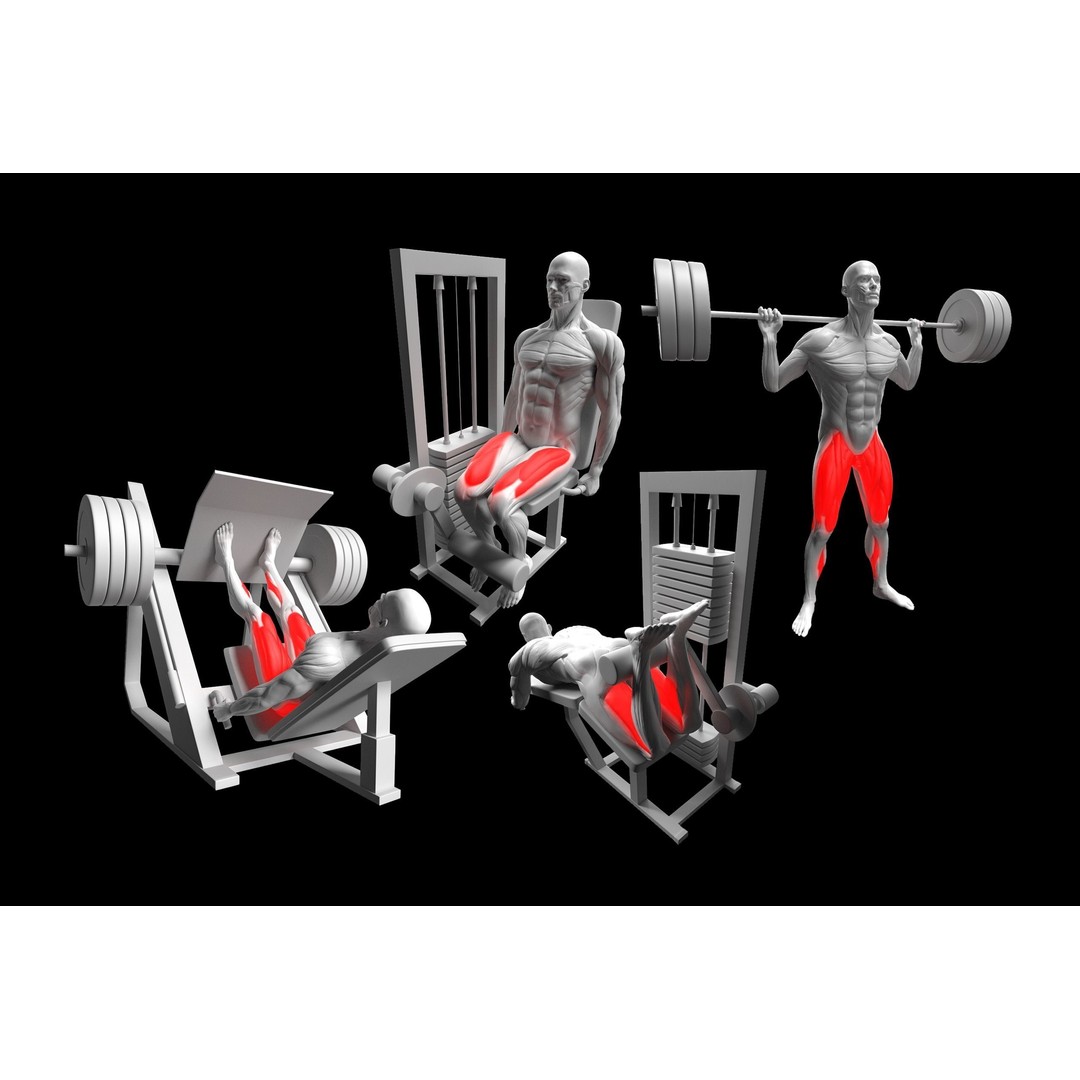 Gym Exercise Animations 3D Model – Rigged Character with PBR Textures, FBX - View 4