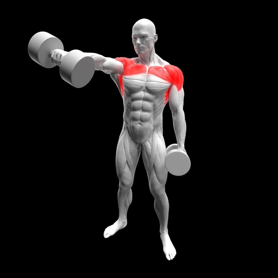 Gym Exercise Animations 3D Model – Rigged Character with PBR Textures, FBX - View 43