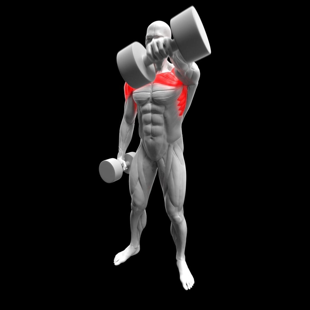 Gym Exercise Animations 3D Model – Rigged Character with PBR Textures, FBX - View 44