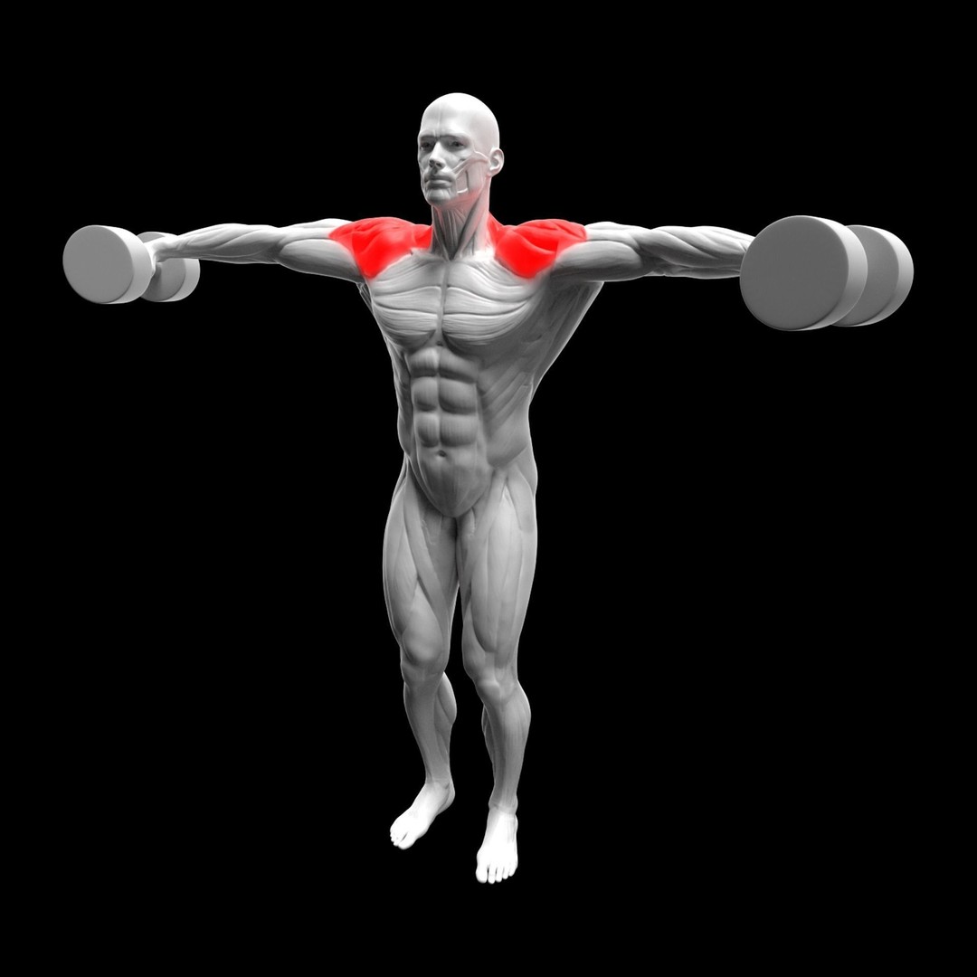 Gym Exercise Animations 3D Model – Rigged Character with PBR Textures, FBX - View 46