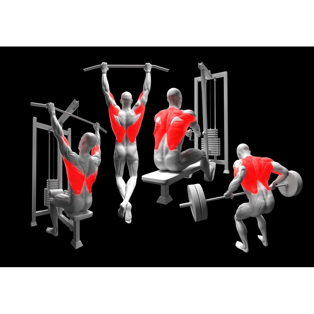 Gym Exercise Animations 3D Model – Rigged Character with PBR Textures, FBX - View 5