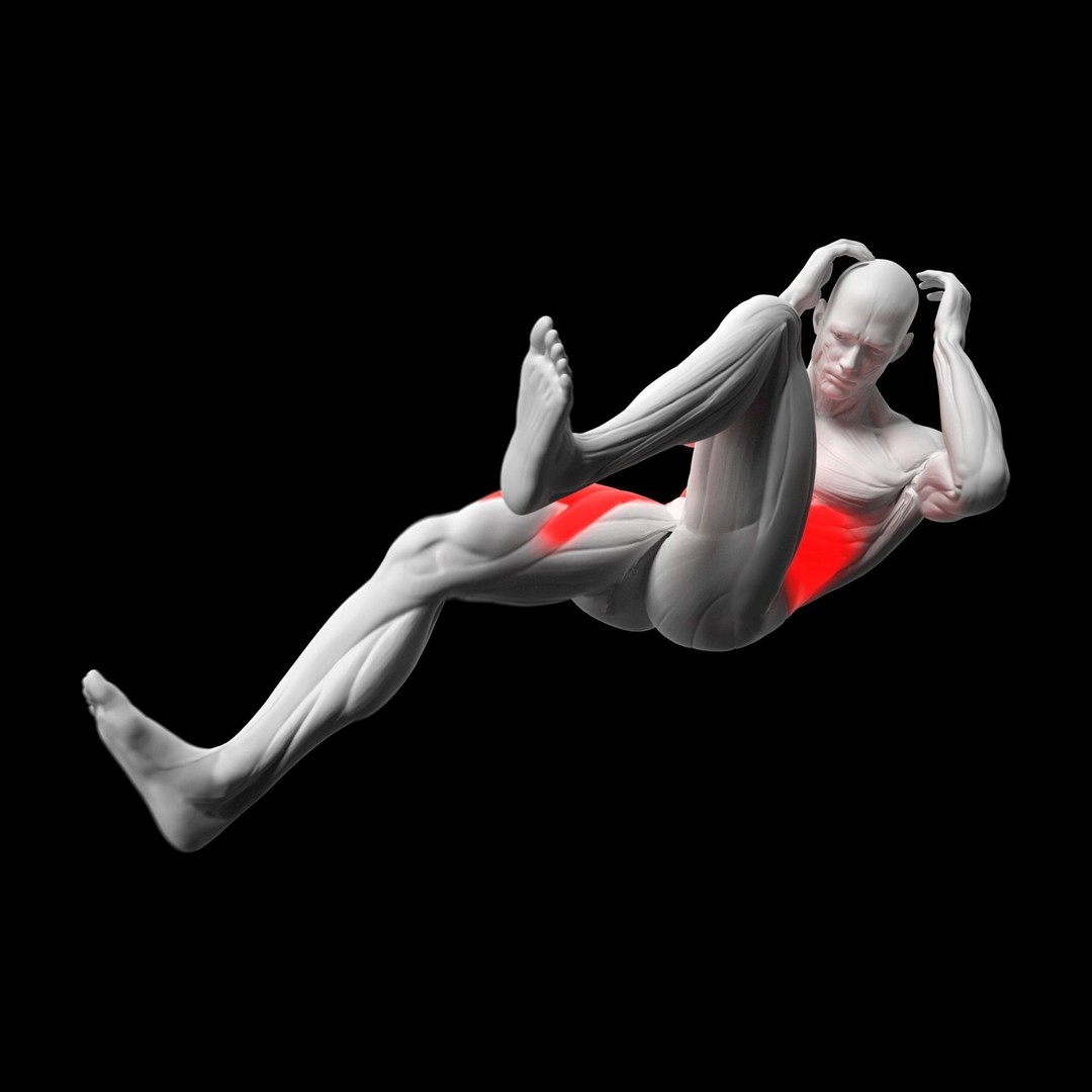 Gym Exercise Animations 3D Model – Rigged Character with PBR Textures, FBX - View 52