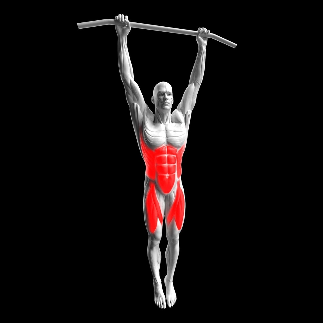 Gym Exercise Animations 3D Model – Rigged Character with PBR Textures, FBX - View 55