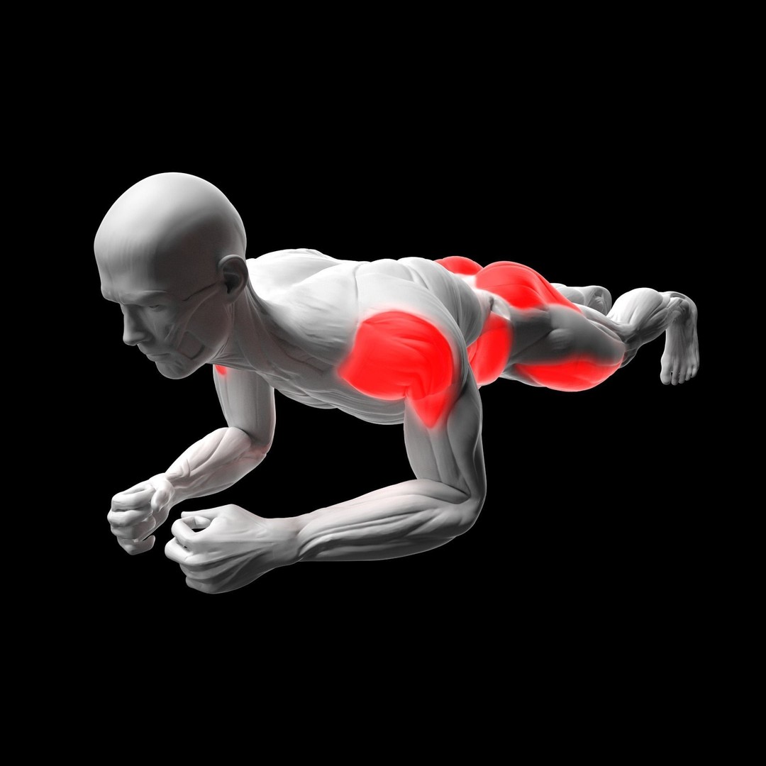 Gym Exercise Animations 3D Model – Rigged Character with PBR Textures, FBX - View 57