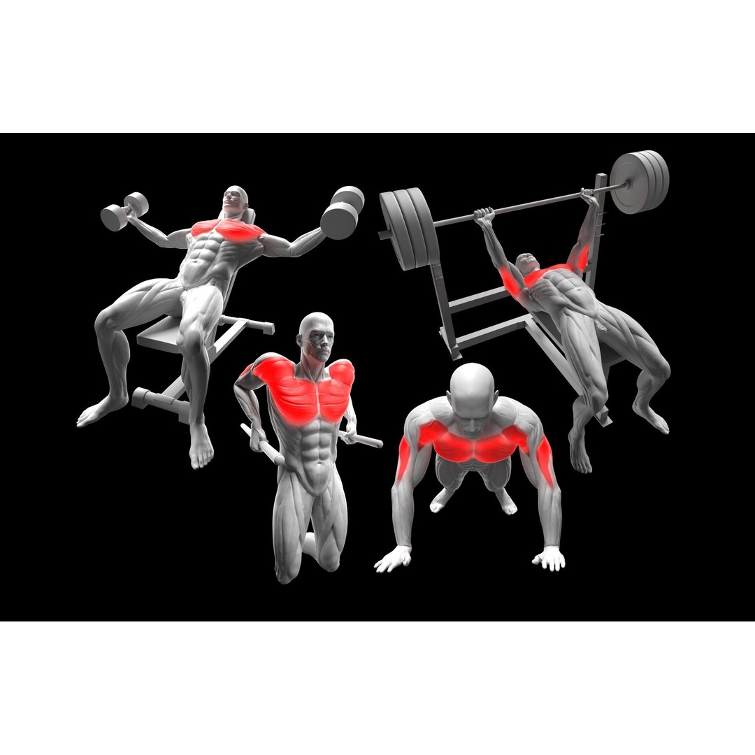 Gym Exercise Animations 3D Model – Rigged Character with PBR Textures, FBX - View 6