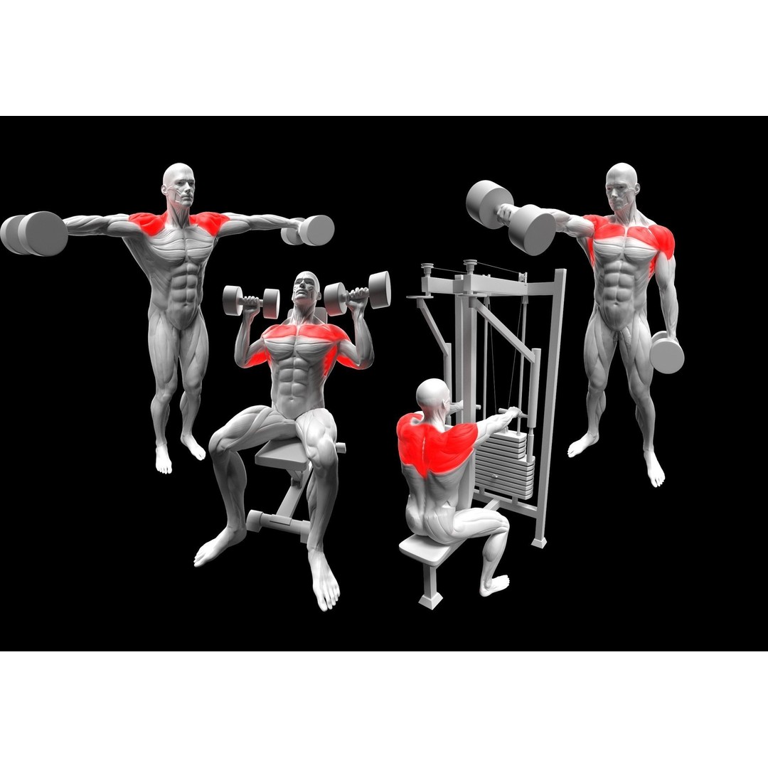 Gym Exercise Animations 3D Model – Rigged Character with PBR Textures, FBX - View 7
