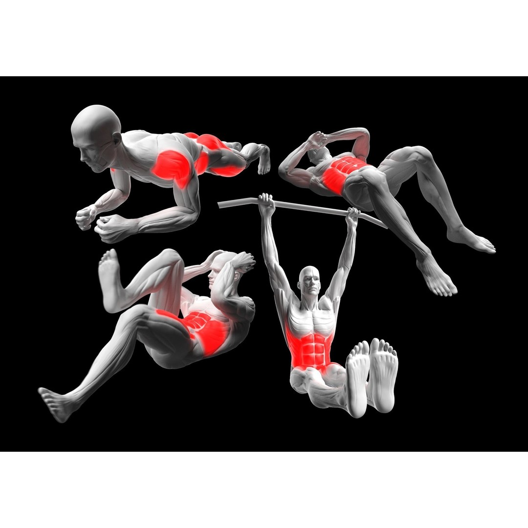 Gym Exercise Animations 3D Model – Rigged Character with PBR Textures, FBX - View 8