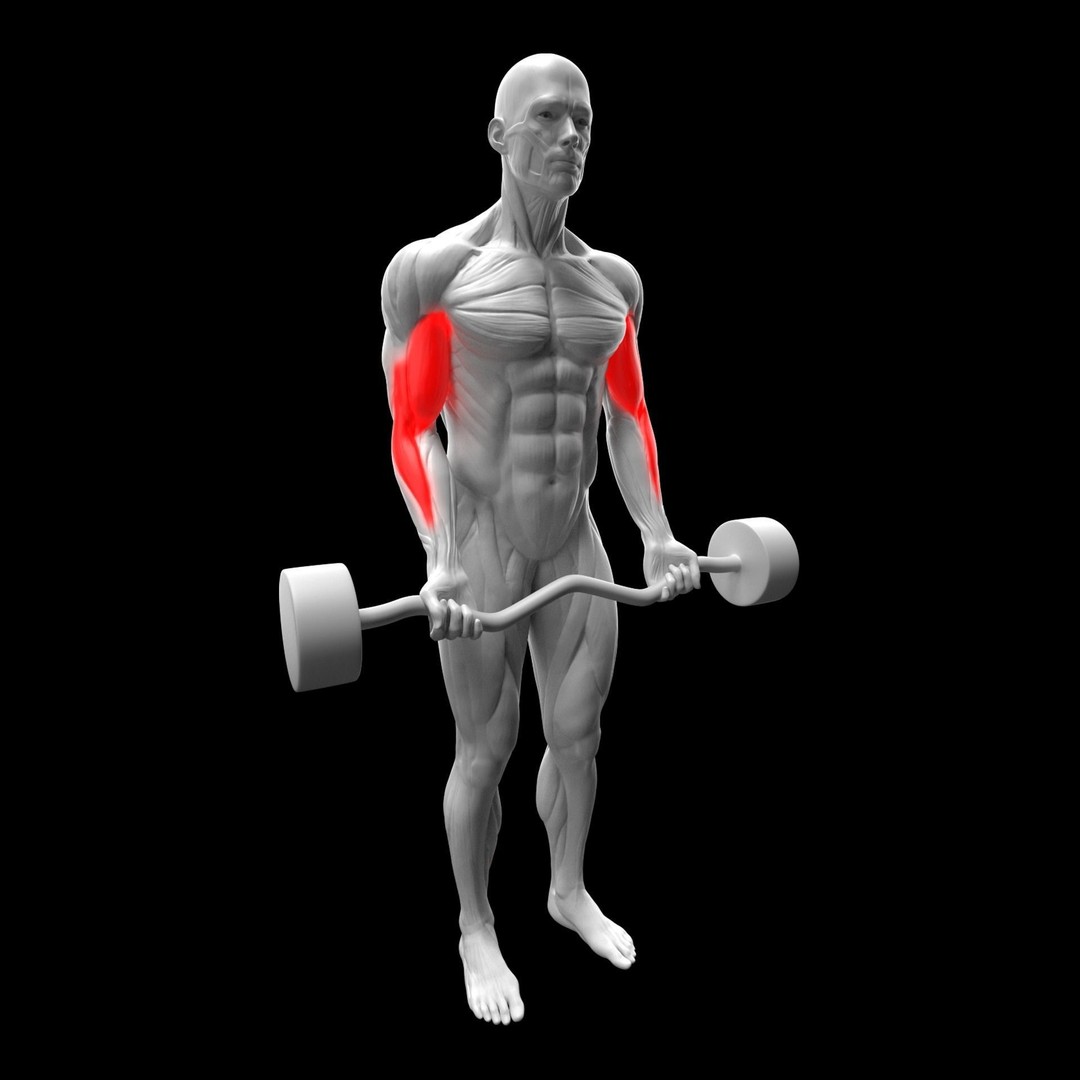 Gym Exercise Animations 3D Model – Rigged Character with PBR Textures, FBX - View 9
