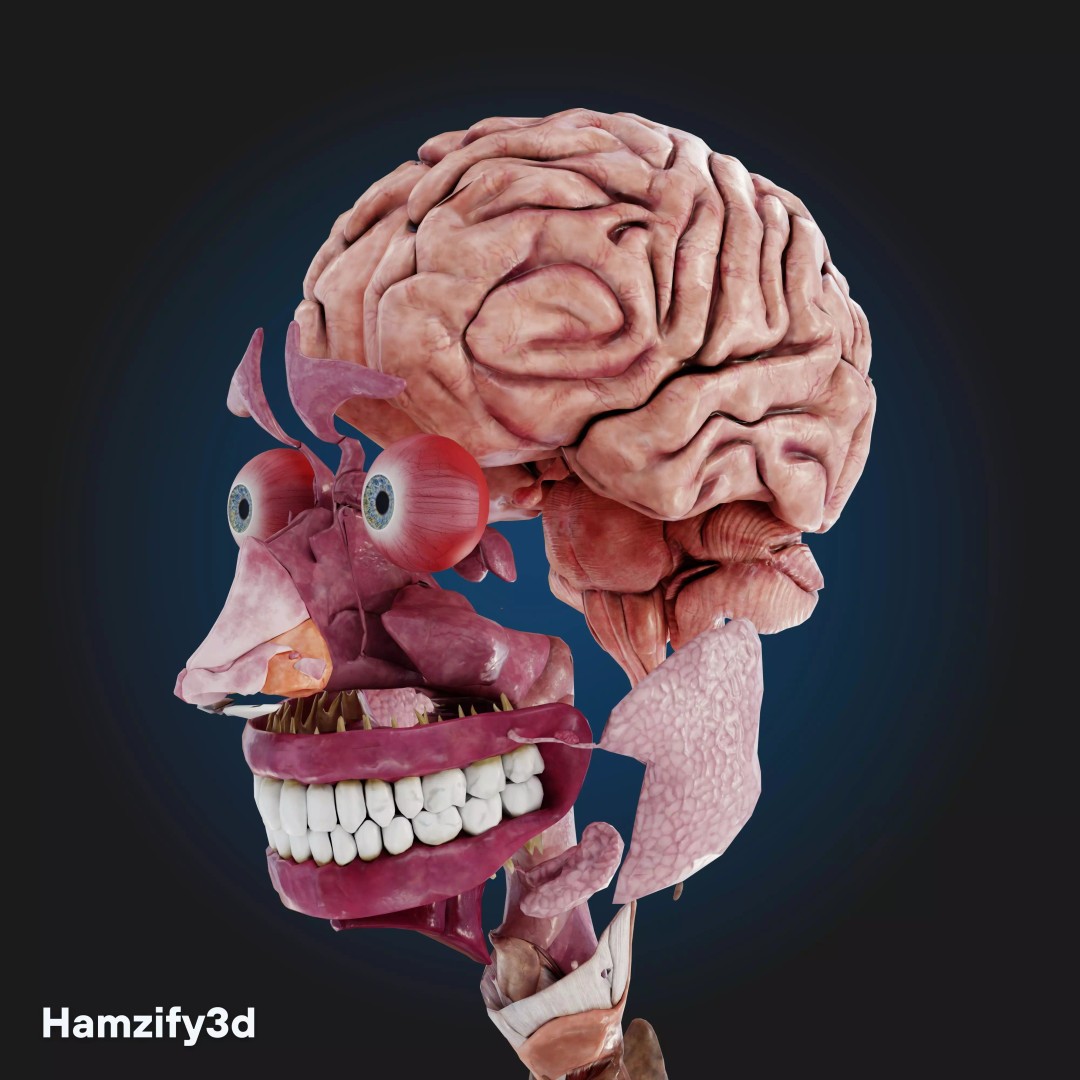 Full Female Anatomy 3D Model – Anatomically Accurate Character, FBX & Blender - View 14