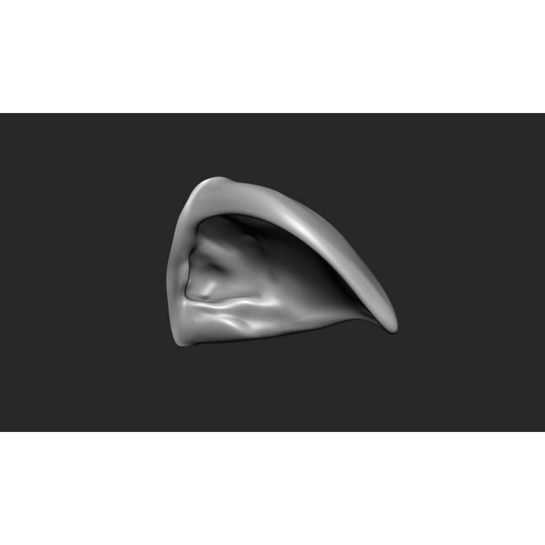 24 Ears 3D Model – Multi Mesh Brush Collection for ZBrush - View 10