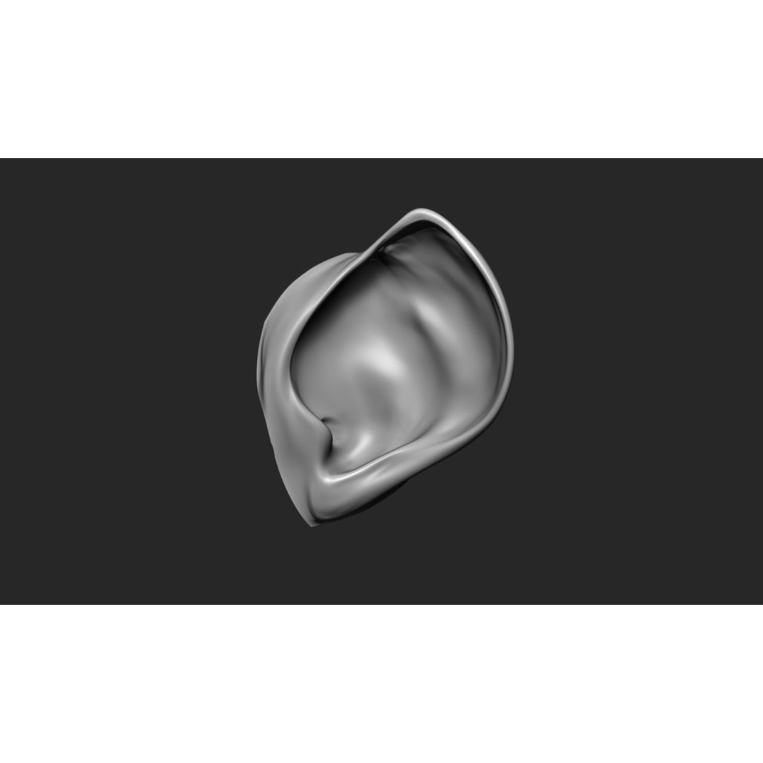 24 Ears 3D Model – Multi Mesh Brush Collection for ZBrush - View 12