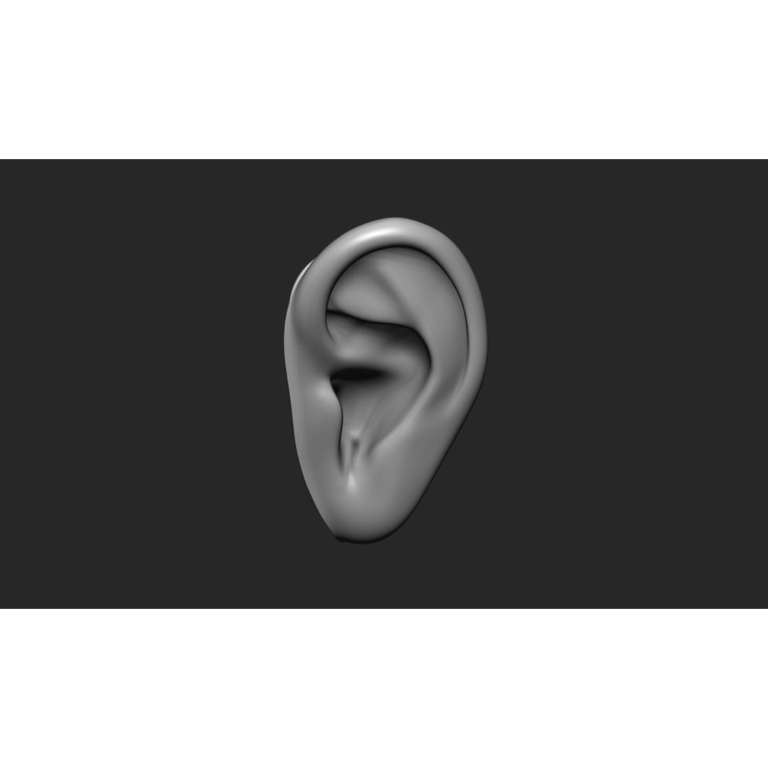 24 Ears 3D Model – Multi Mesh Brush Collection for ZBrush - View 13