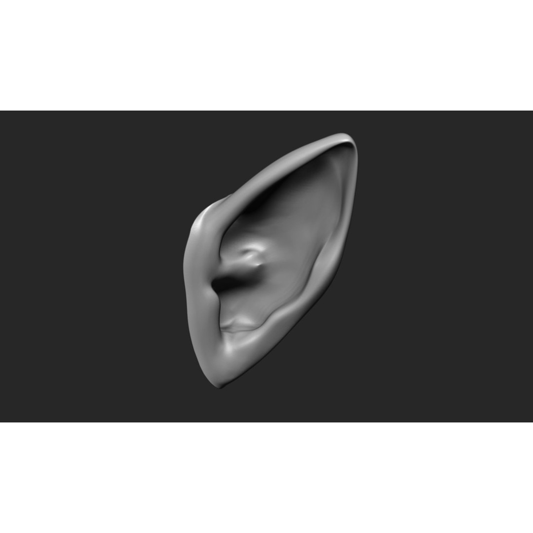24 Ears 3D Model – Multi Mesh Brush Collection for ZBrush - View 14