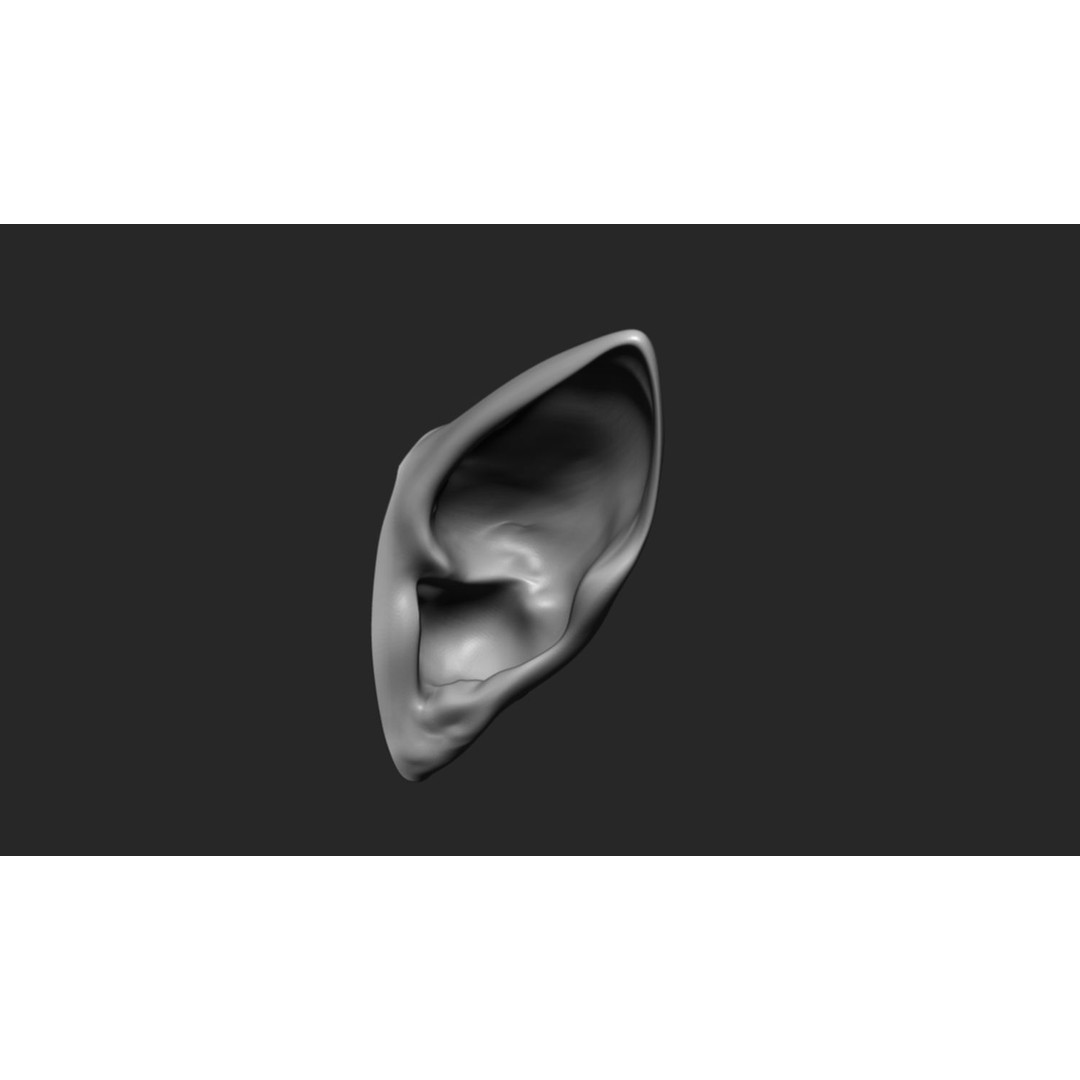 24 Ears 3D Model – Multi Mesh Brush Collection for ZBrush - View 15
