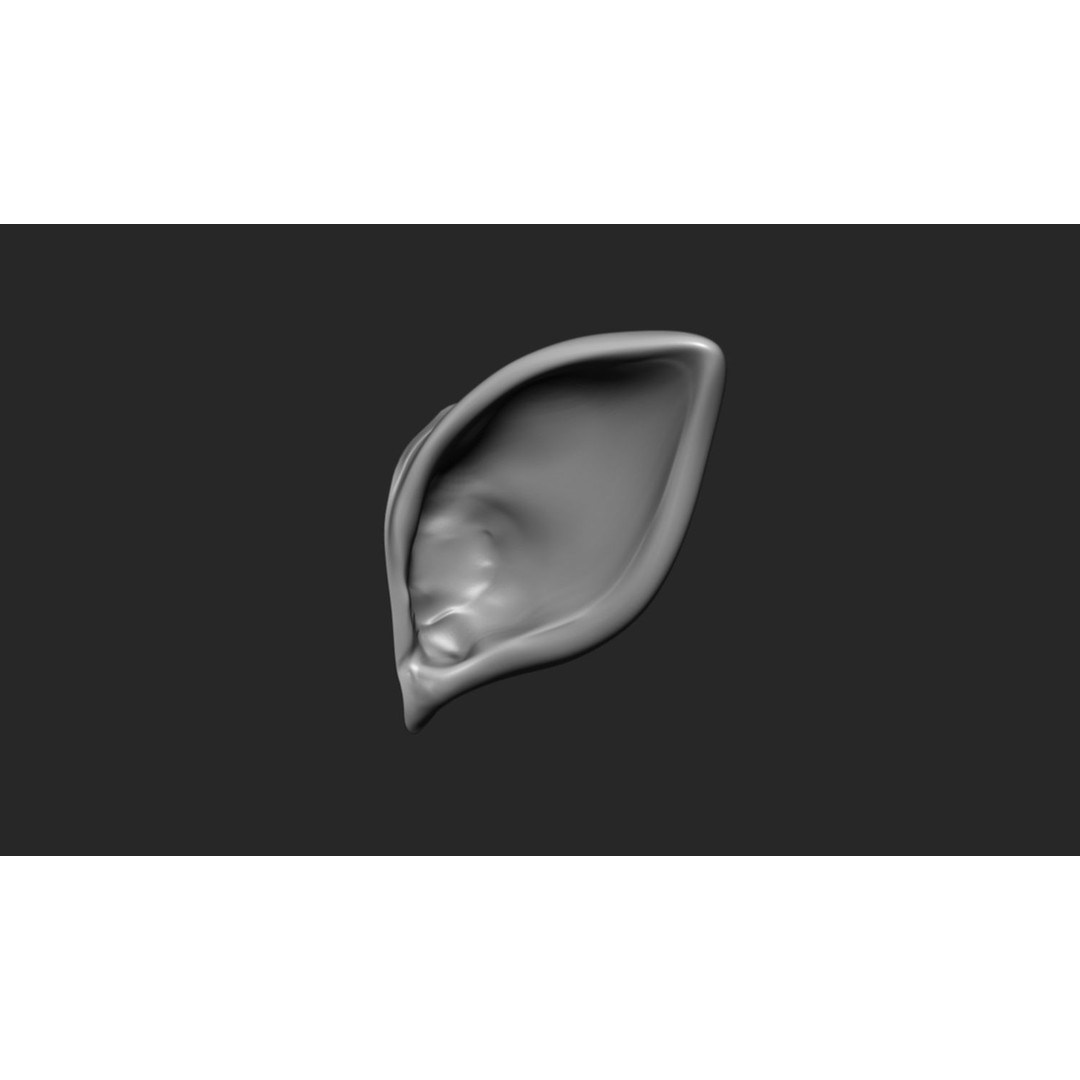 24 Ears 3D Model – Multi Mesh Brush Collection for ZBrush - View 18