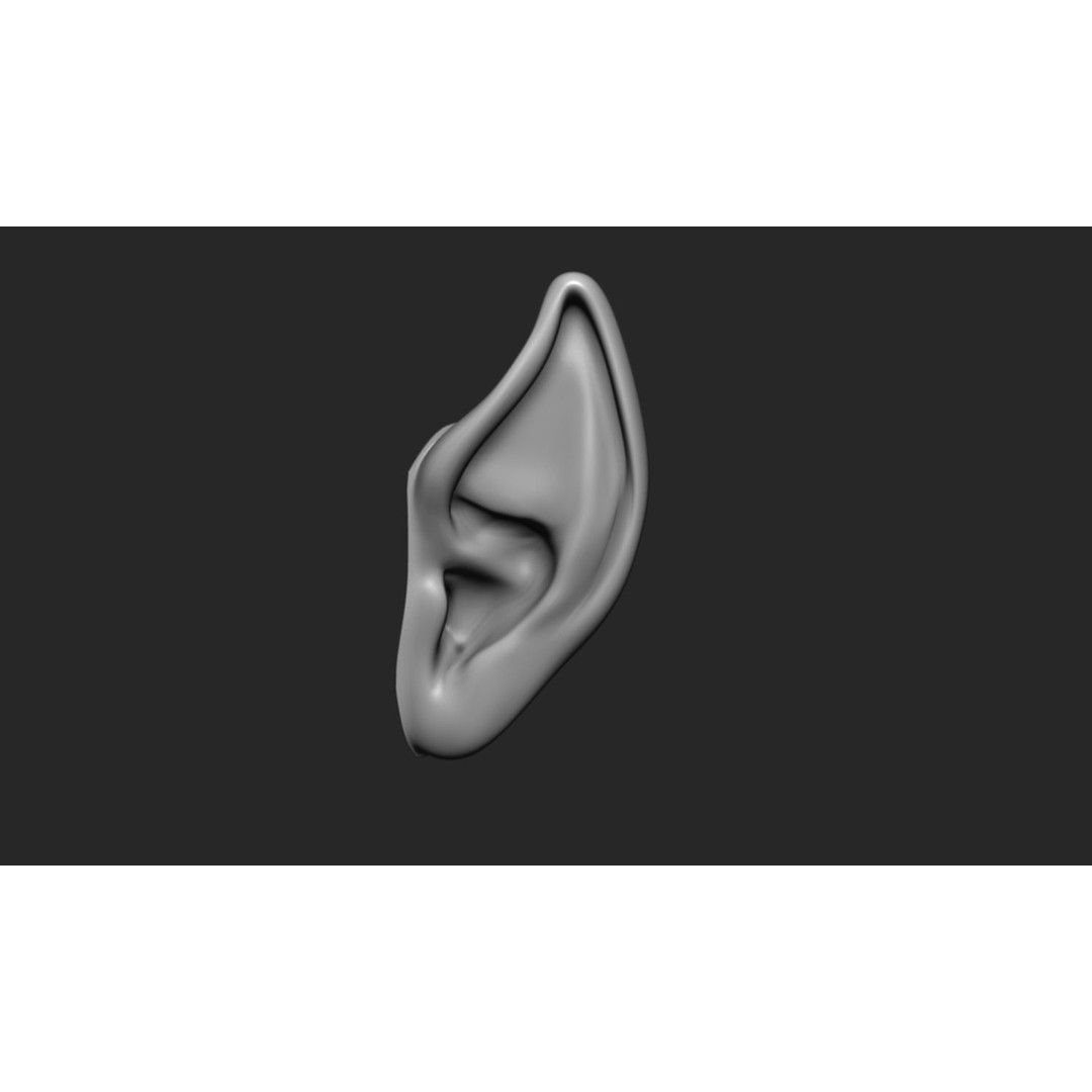 24 Ears 3D Model – Multi Mesh Brush Collection for ZBrush - View 19