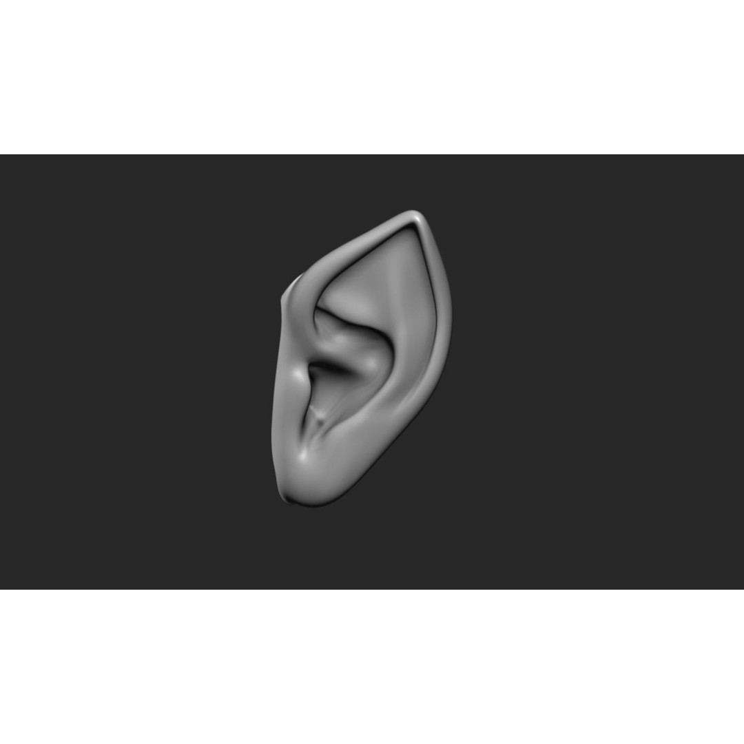 24 Ears 3D Model – Multi Mesh Brush Collection for ZBrush - View 20