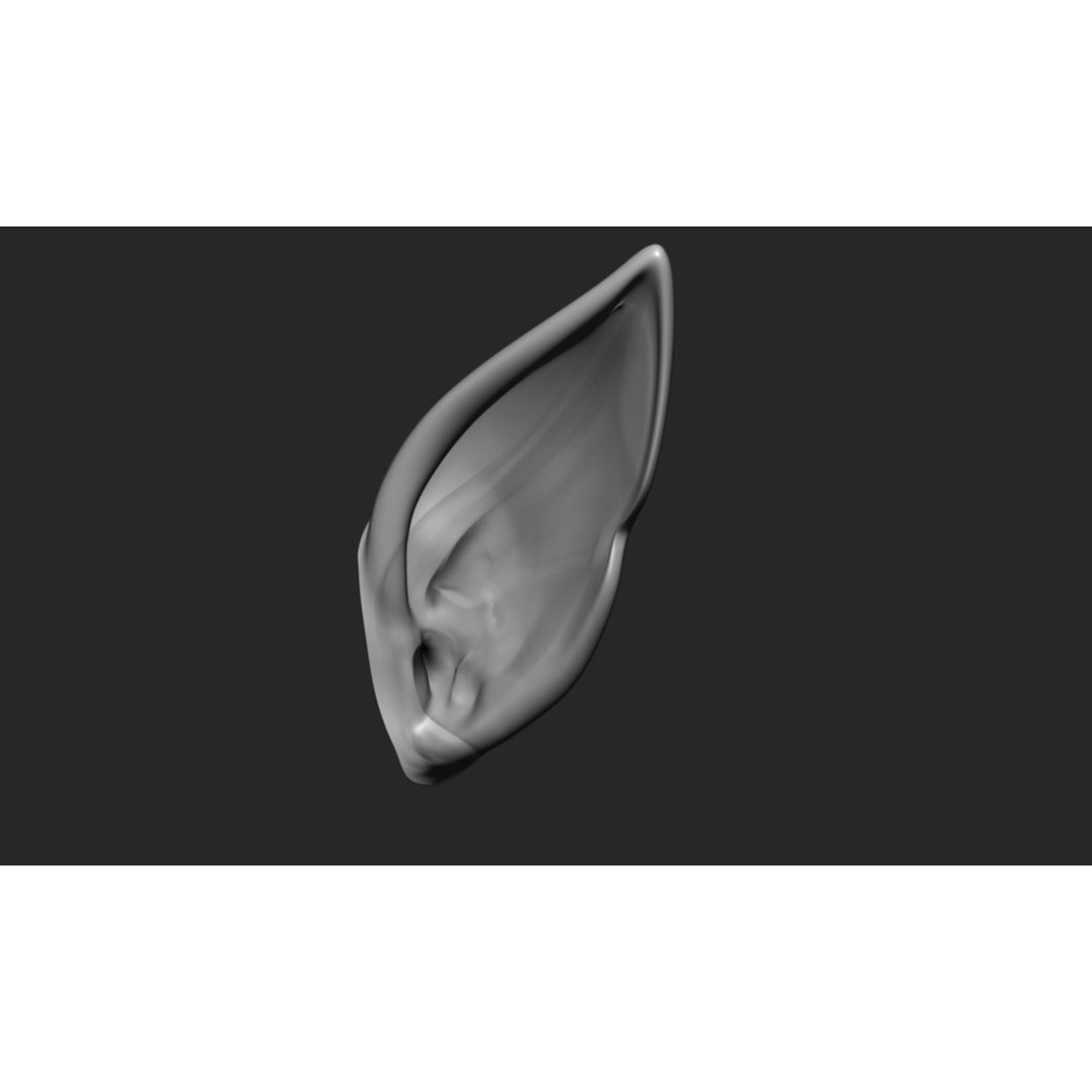 24 Ears 3D Model – Multi Mesh Brush Collection for ZBrush - View 23